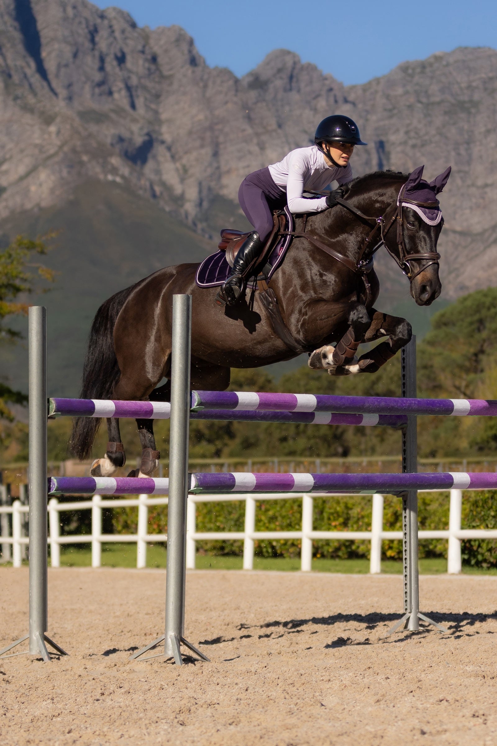 LeMieux Loire Classic Square Close Contact Saddle Pad Saddle Pads