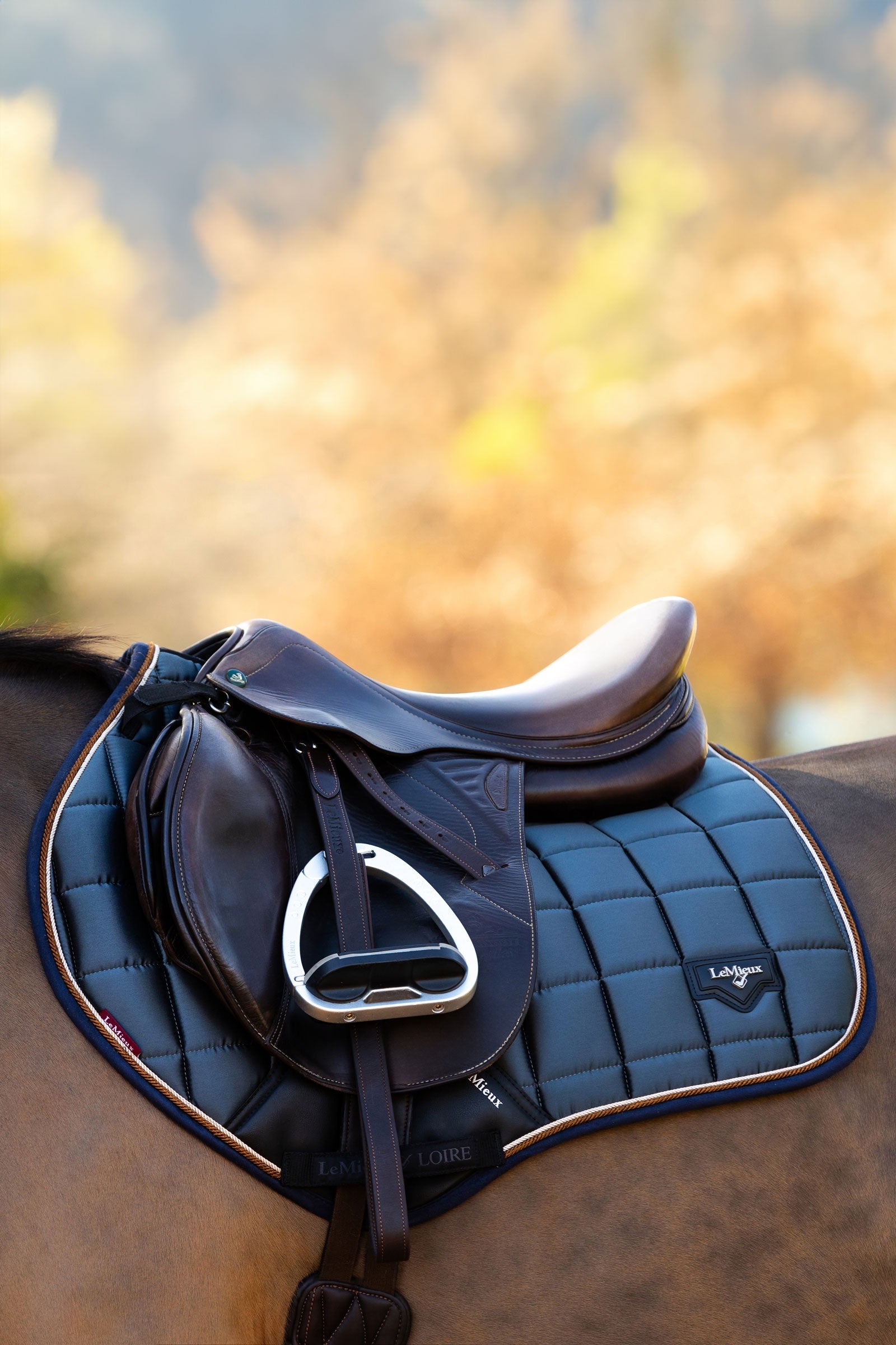 LeMieux Loire Classic Square Close Contact Saddle Pad Saddle Pads