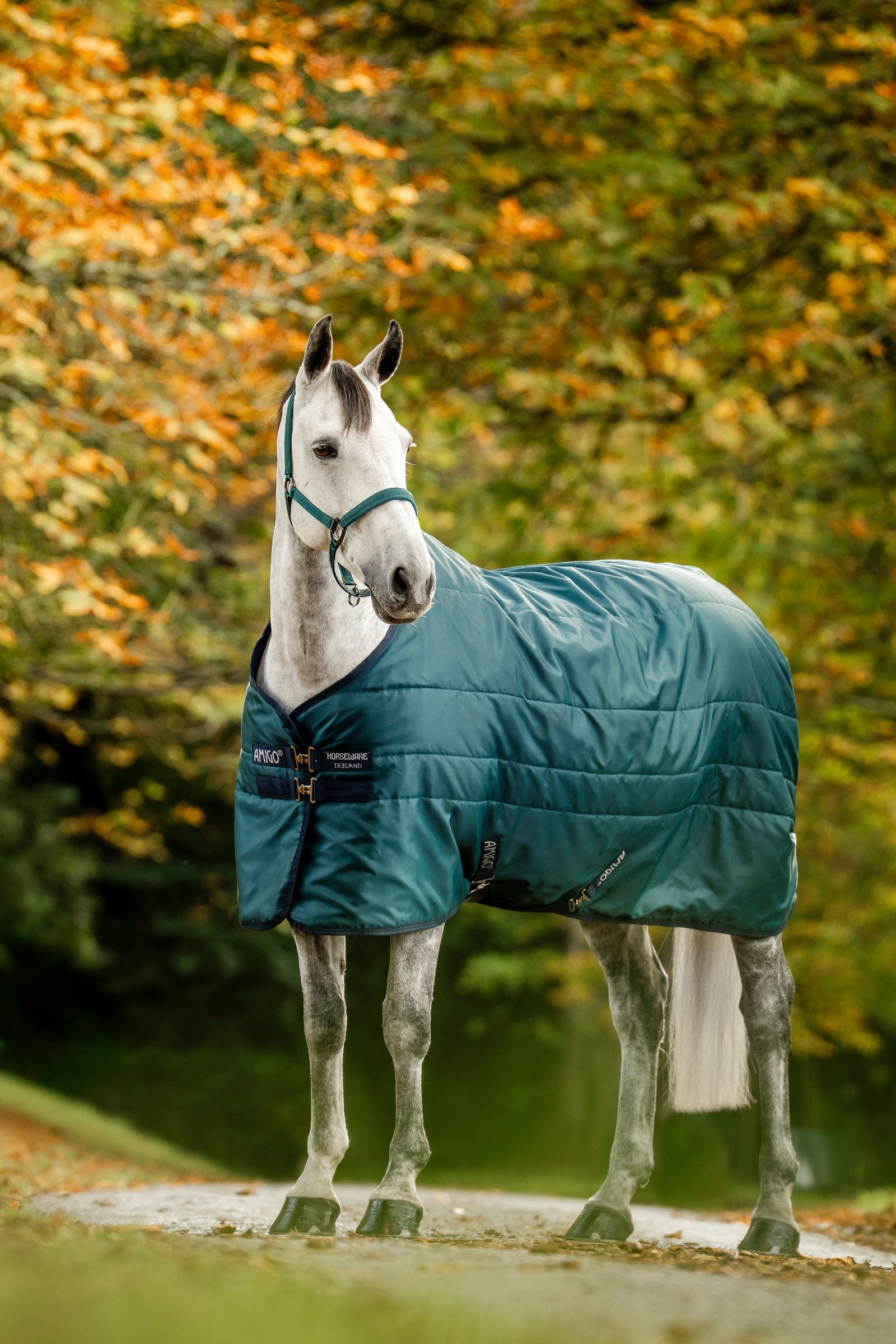 Horseware Amigo Ripstop Insulator Stalldecke, 200g Pferdedecken