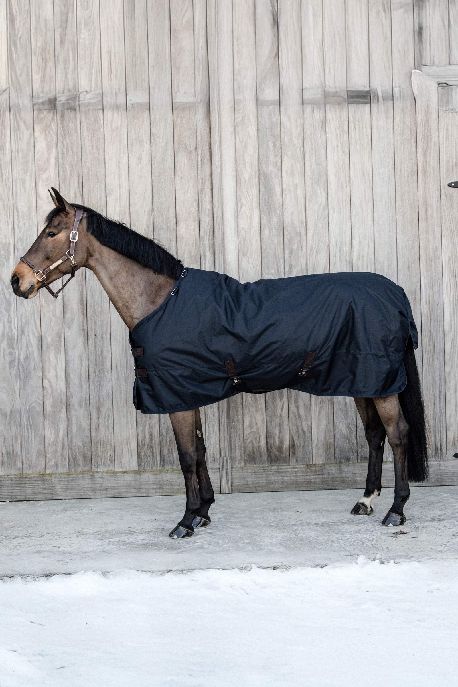 Kentucky Horsewear Pony All Weather Classic Turnout Rug, 150g Horse Rugs