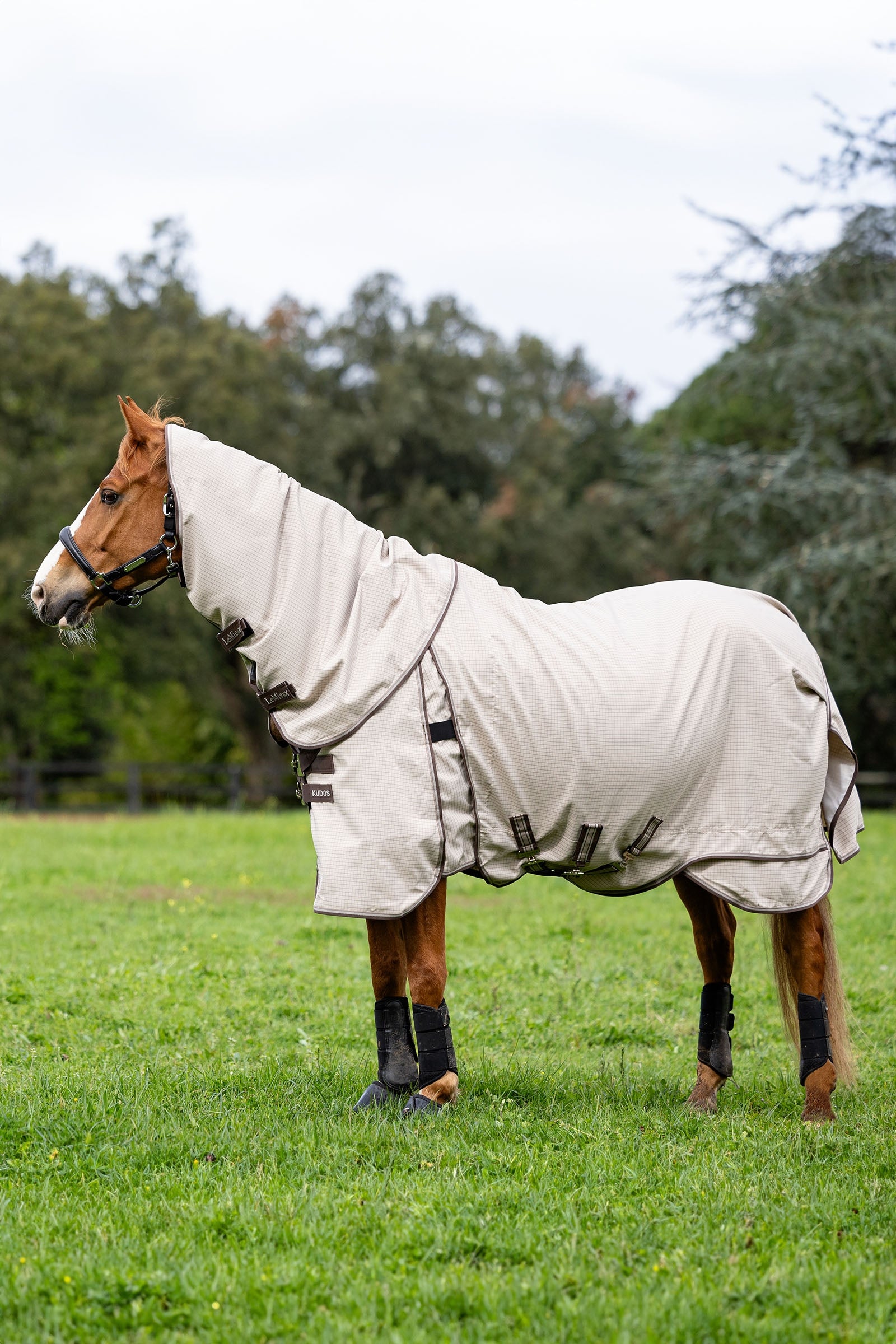 LeMieux Kudos Weidedecke Pferdedecken