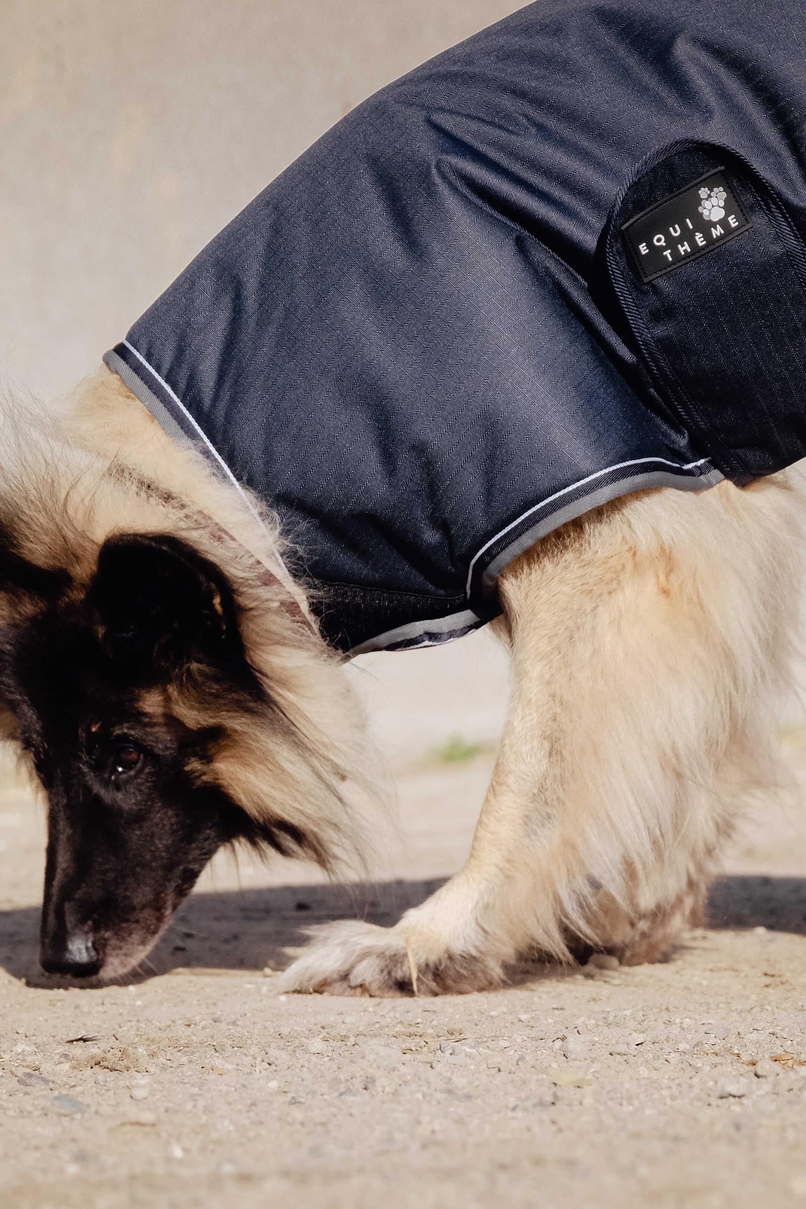 Equi Theme EQUITHÈME TYREX 600D Dog Rug, 220 g Dog Accesories
