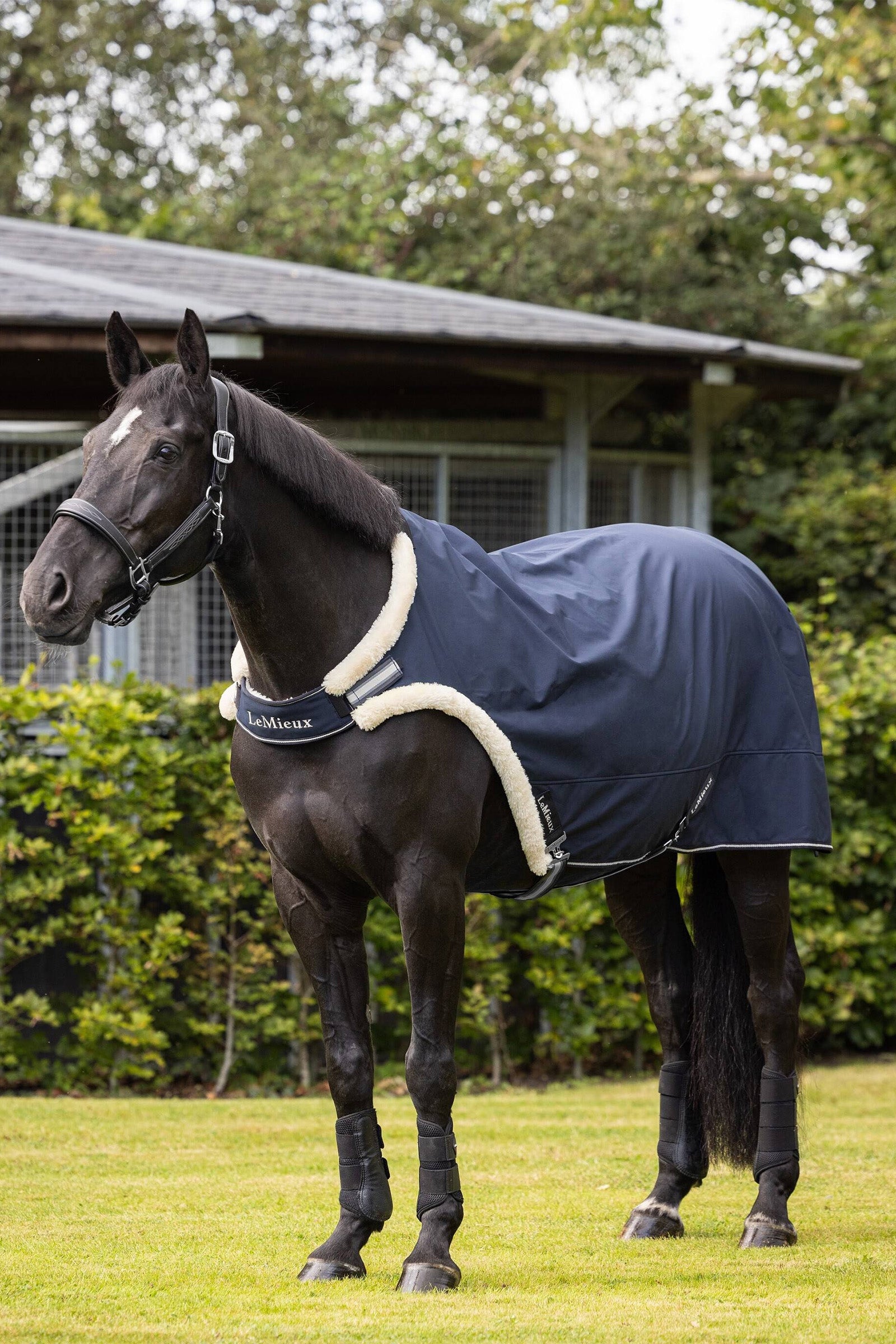 LeMieux Führanlagendecke Pferdedecken