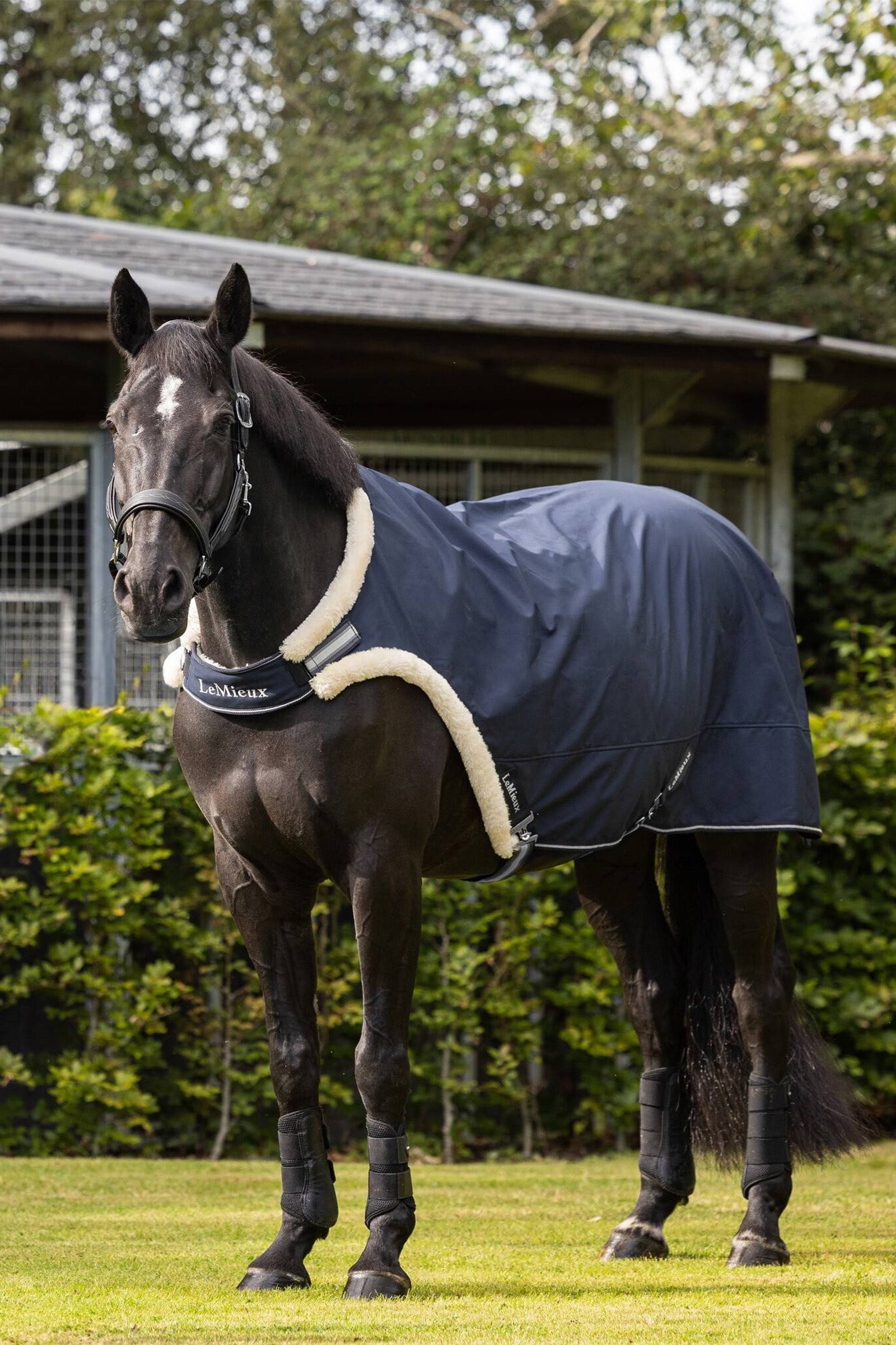 LeMieux Walker Rug Horse Rugs