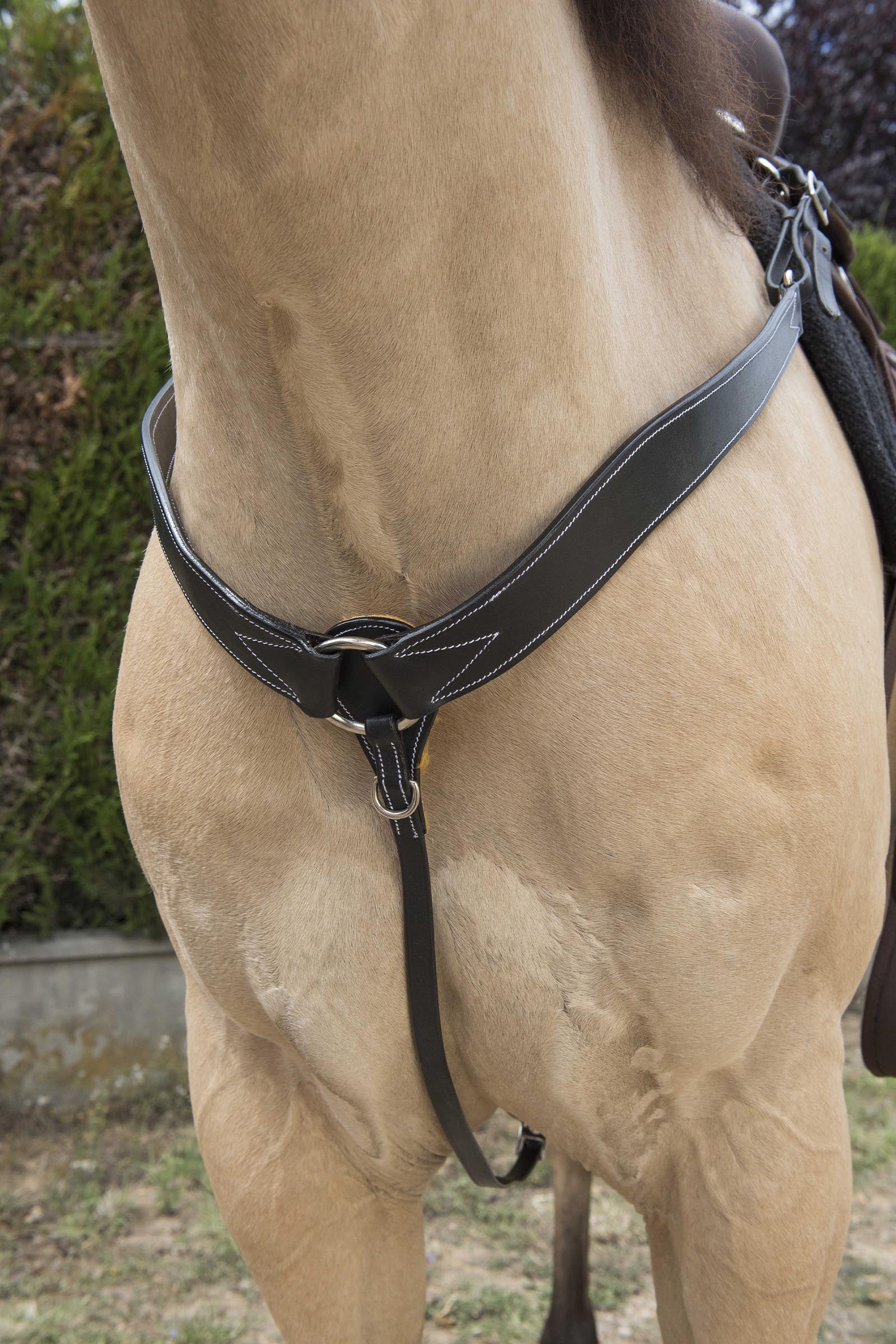 WESTRIDE Abgestepptes Western Hunting Collar Trensenzäume & Zügel