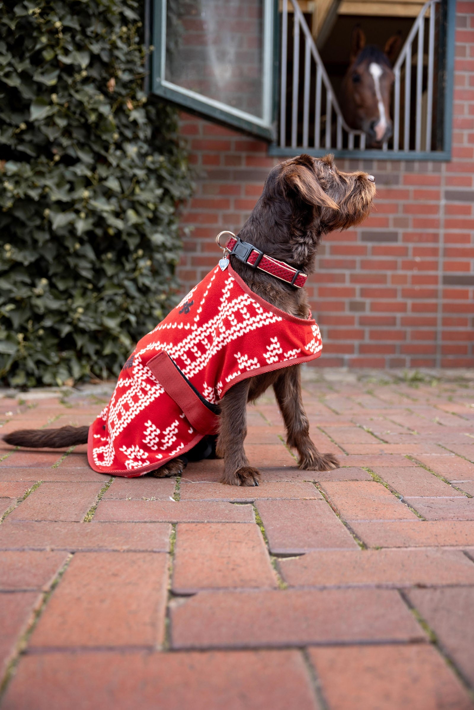 Horze Christmas dog sweater Dog Accesories