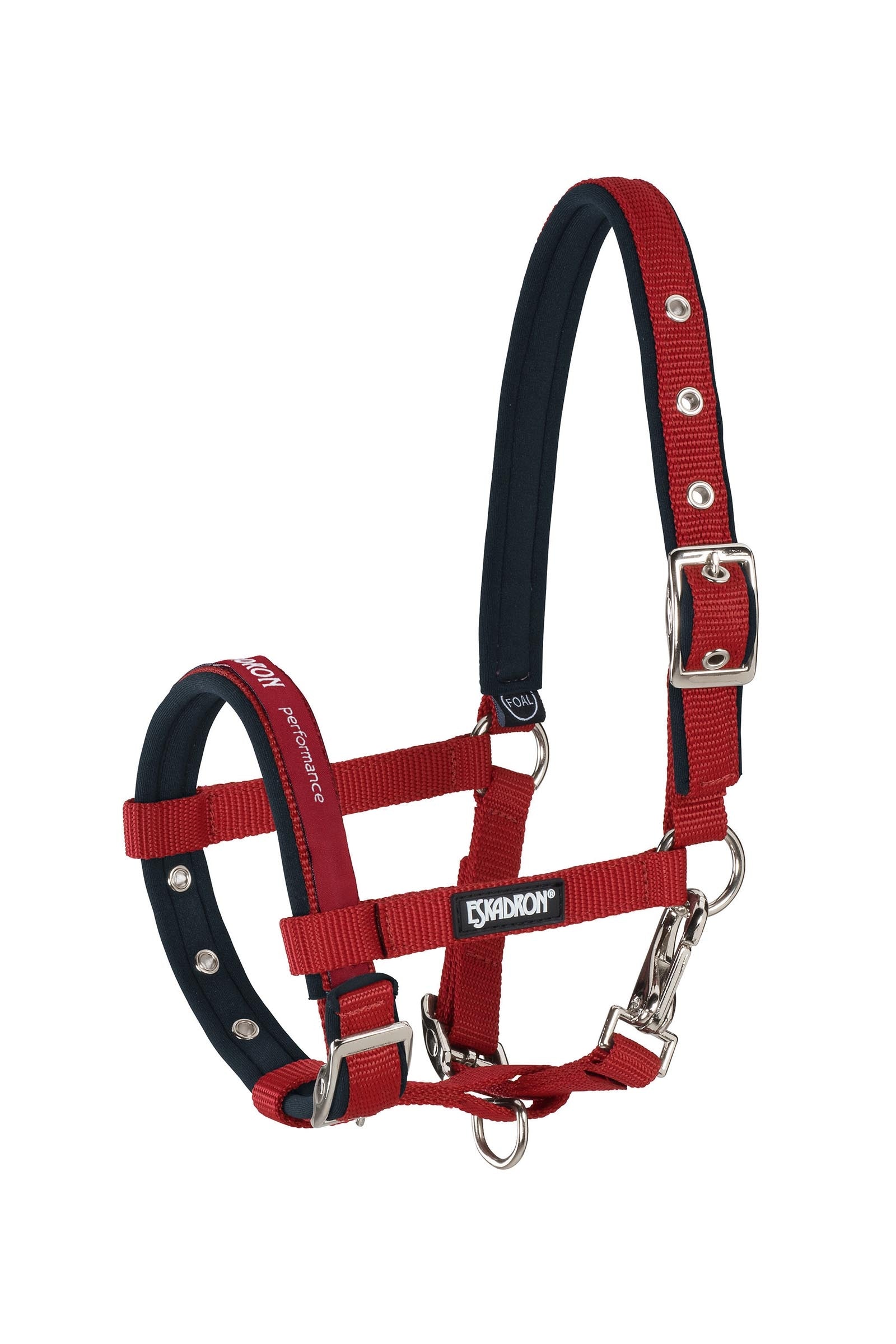 Eskadron Foal Halter Halfter & Stricke