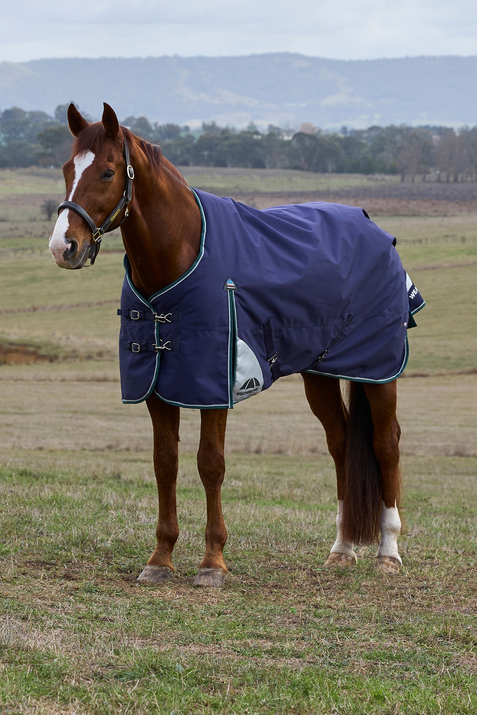 Weatherbeeta ComFiTecPlus Dynamic Turnout Detach-a-Neck, 100 g Pferdedecken