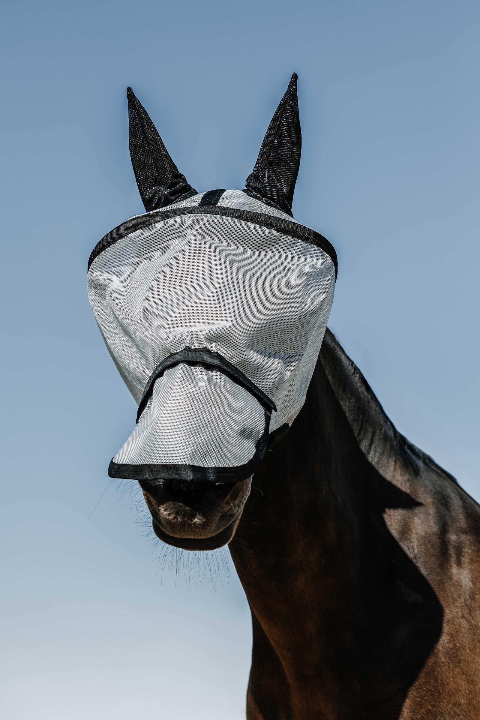 EQUITHÈME Protec Fliegenmaske / UV-Maske Fliegenschutz