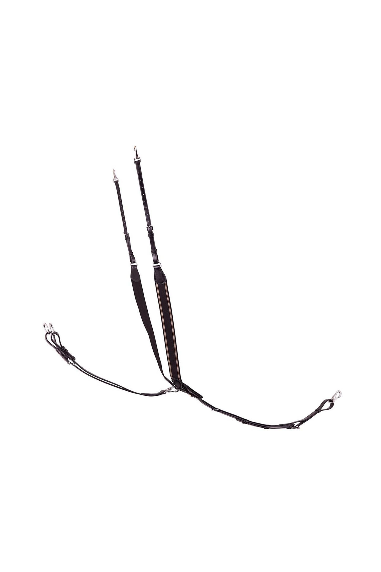 BR Taunton elastisches Vorderzeug mit abnehmbarem Martingal Trensenzäume & Zügel