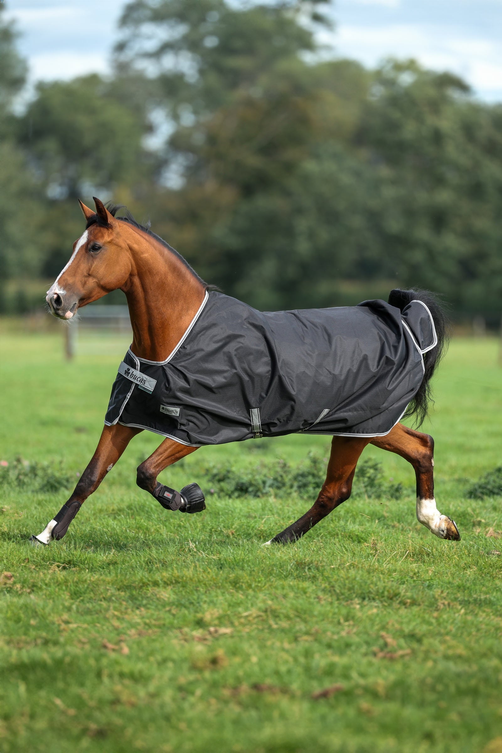Bucas Anniversary SF Light Rain Turnout Rug, 50g Horse Rugs