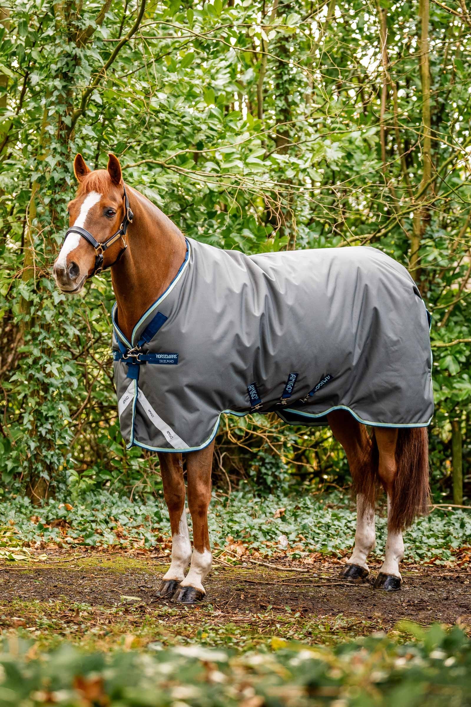 Horseware Amigo Bravo 12 Plus Weidedecke mit abnehmbarem Hals, 400g Pferdedecken