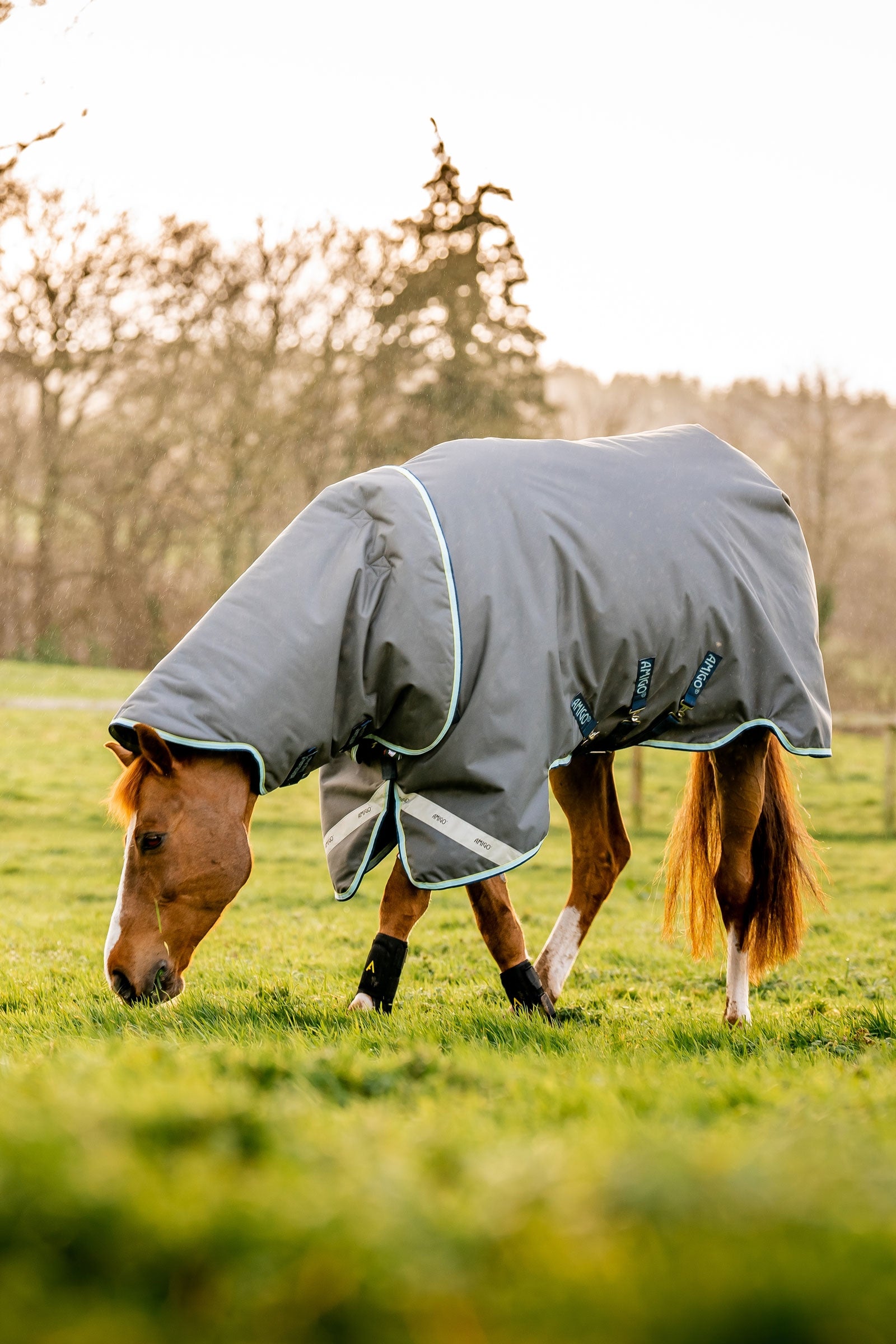 Horseware Amigo Bravo 12 Plus Turnout Rug With Detachable Neck, 400g Horse Rugs