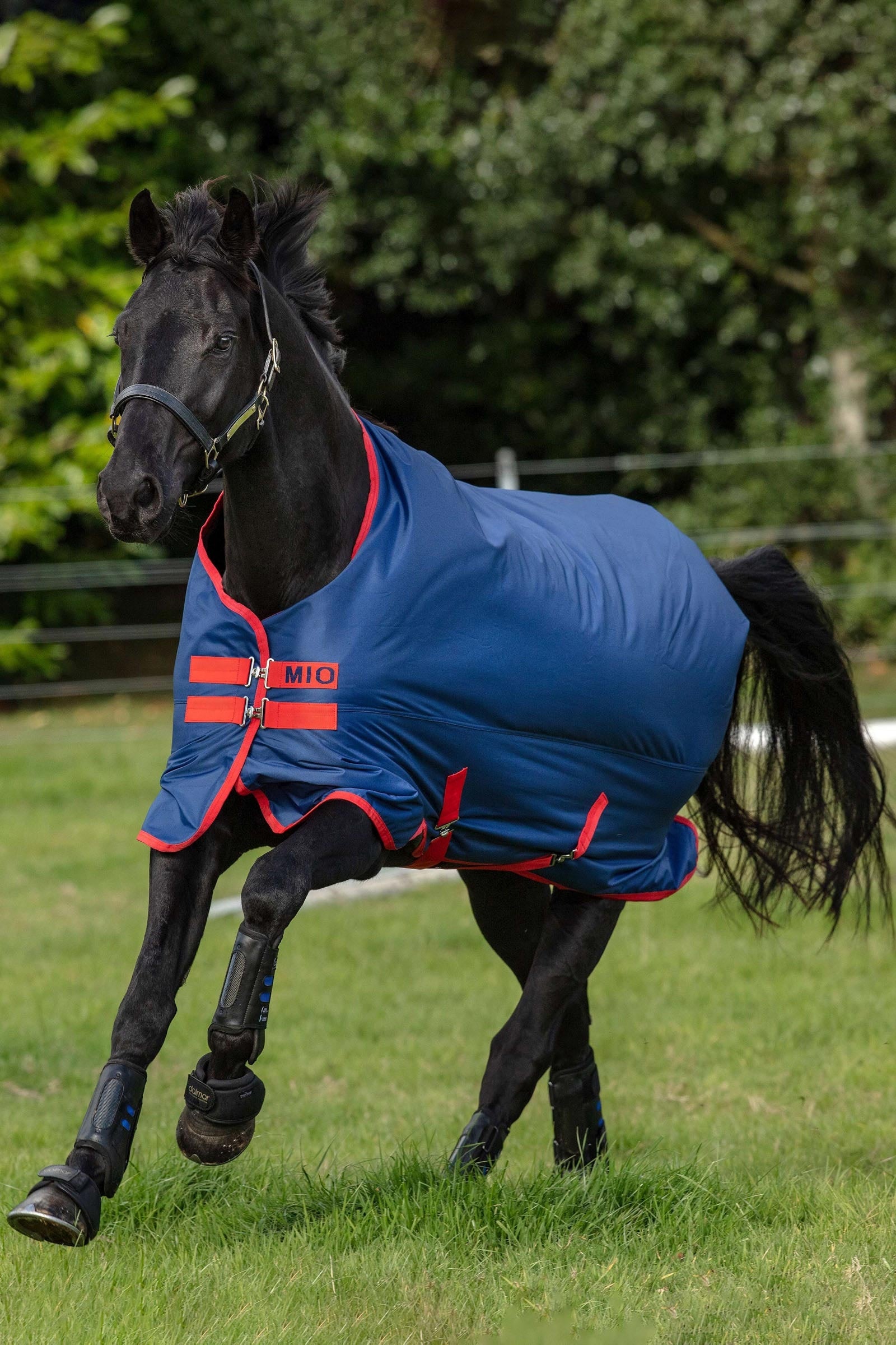 Horseware Mio Turnout Rug, 200g Horse Rugs