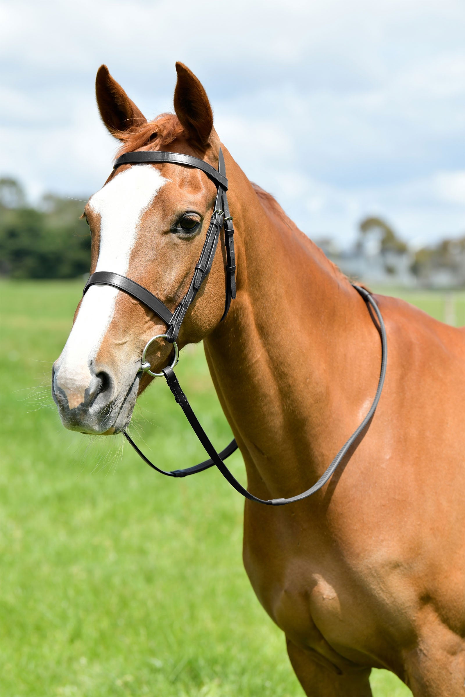 Kincade Classic flache Jagdtrense mit Zügeln Trensenzäume & Zügel