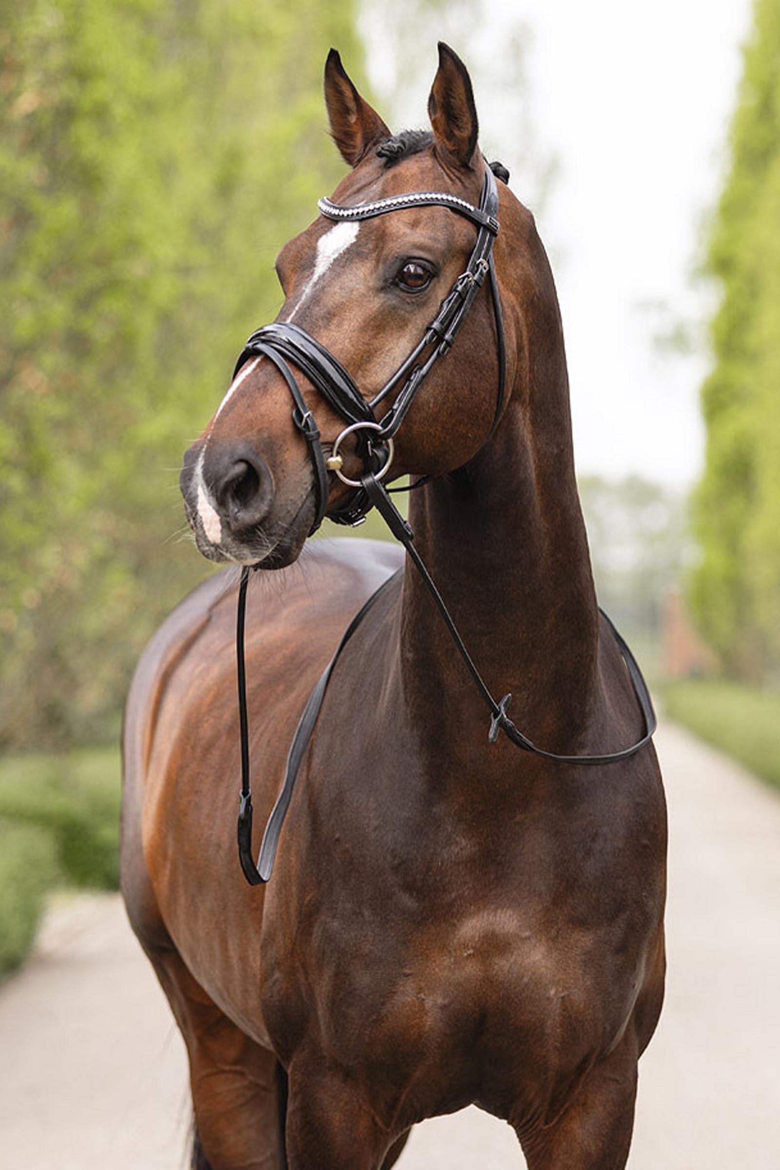 Anky ANKY Anatomic Bridle Shaped Noseband Bridles & Reins