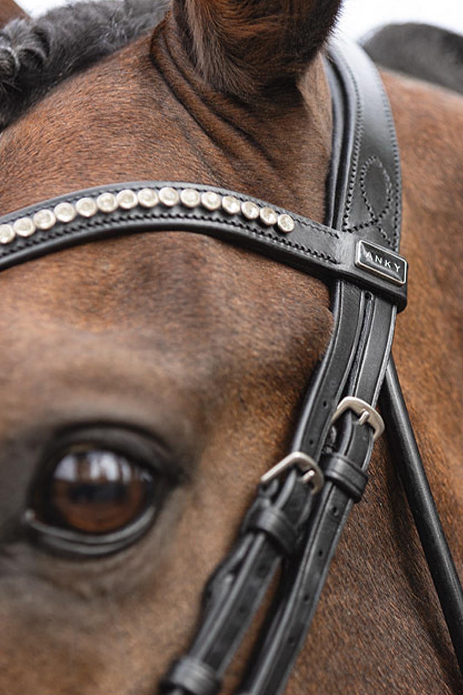 Anky ANKY Anatomic Bridle Shaped Noseband Bridles & Reins