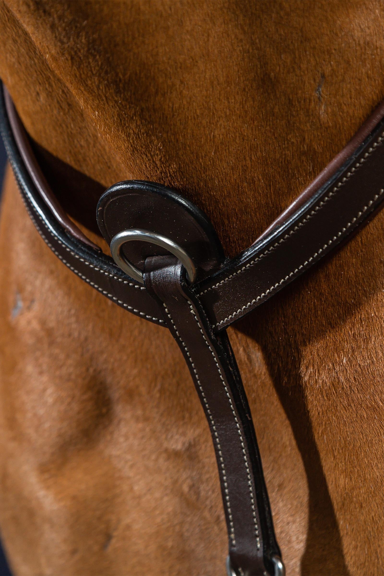 Dy'on Working Bridge Breastplate Bridles & Reins