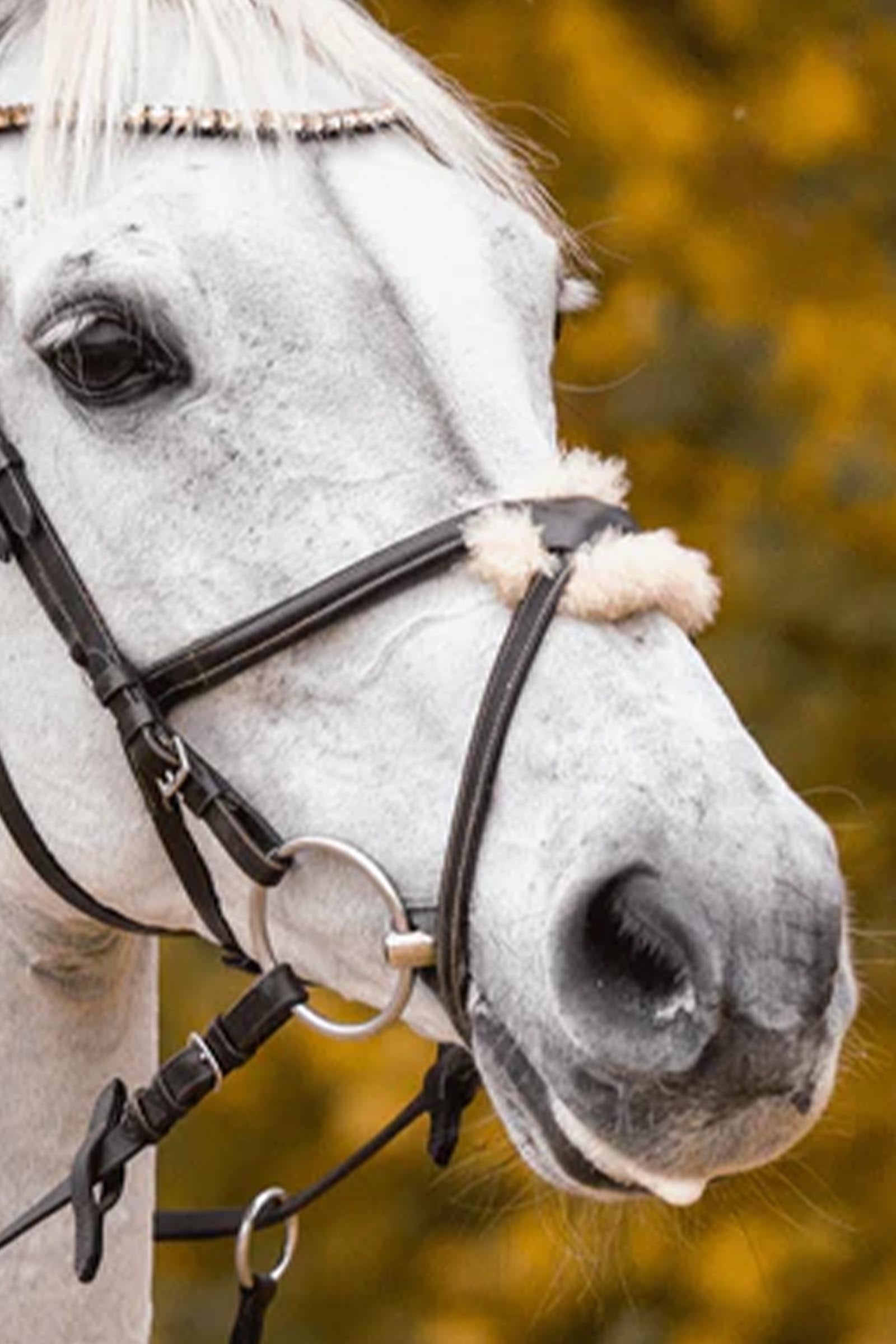Lifestyle shot 1