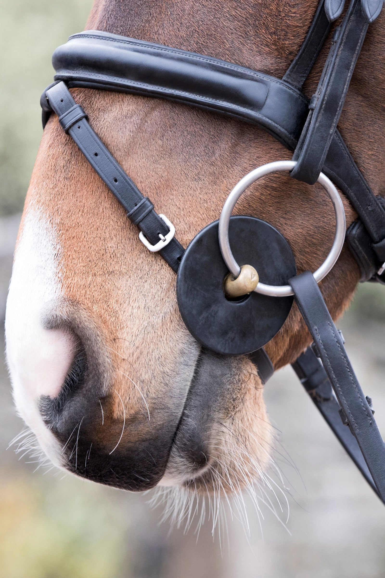 LeMieux Silicone Bit Guards Horse Bits