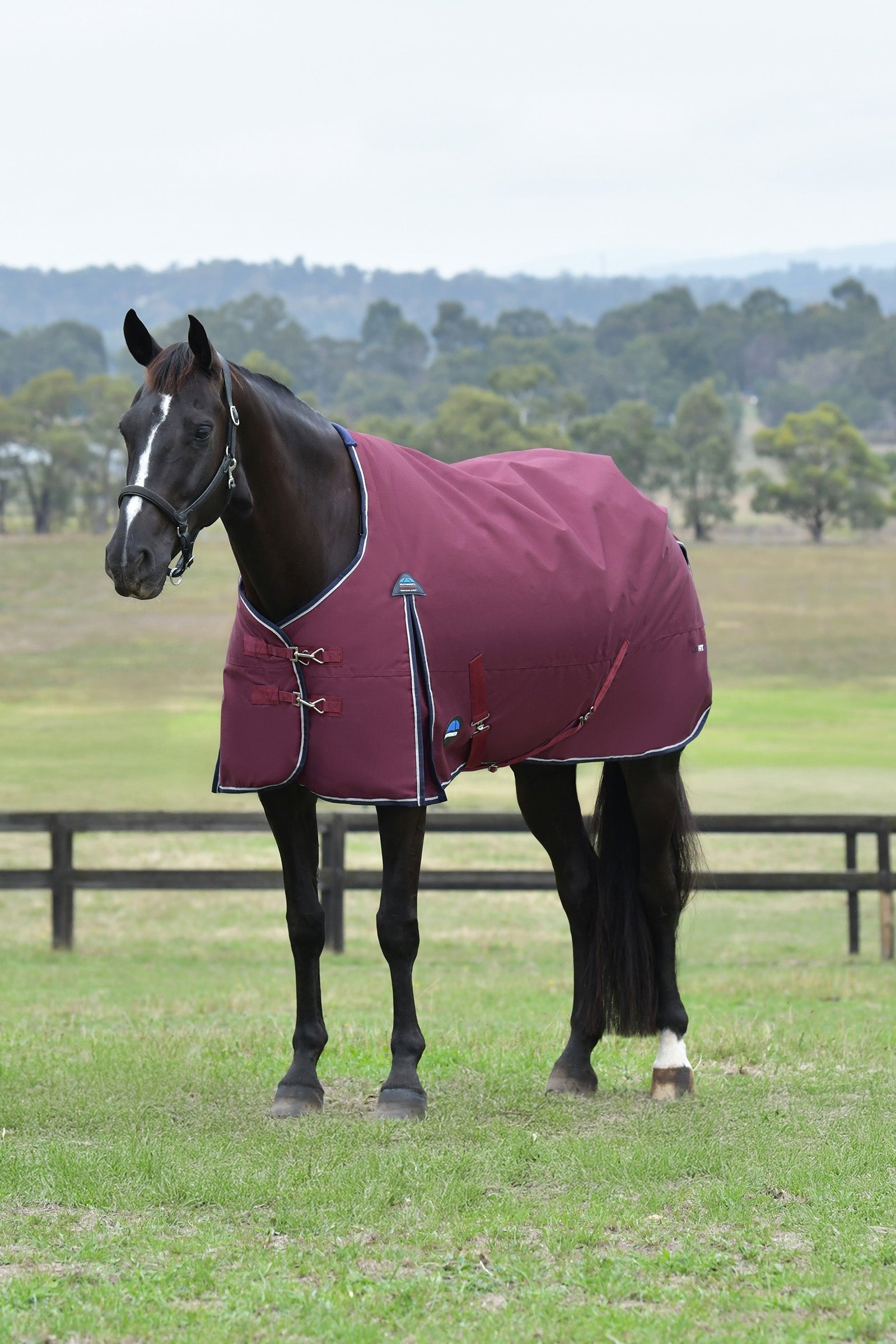 Weatherbeeta ComFiTec Essential Turnout Standard Neck 50G Pferdedecken