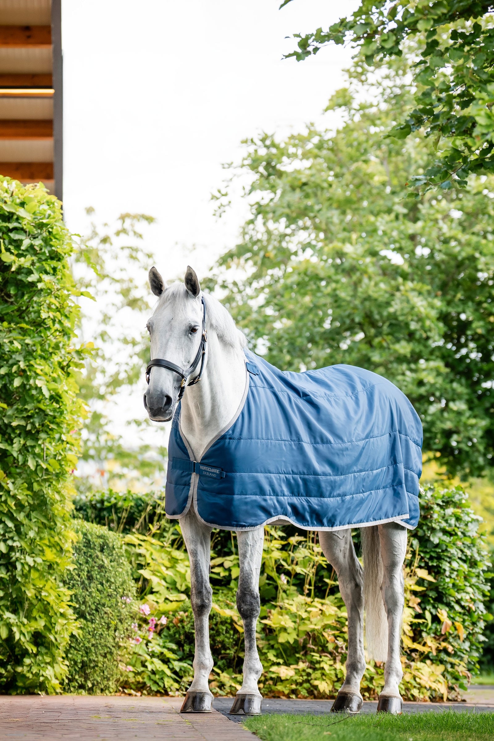 Horseware Ionic Therapy Liner 200g Horse Rugs