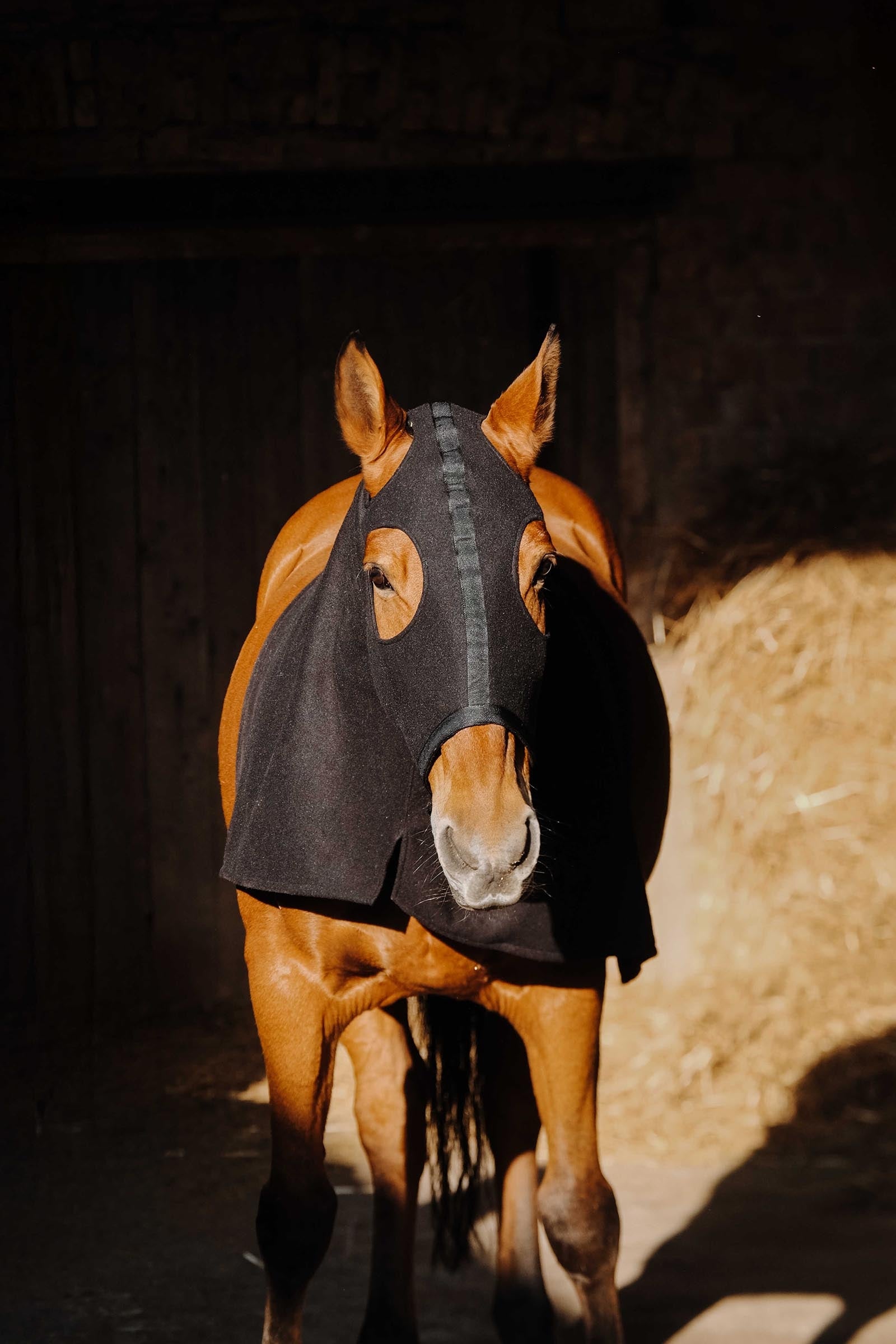 Lifestyle shot 2