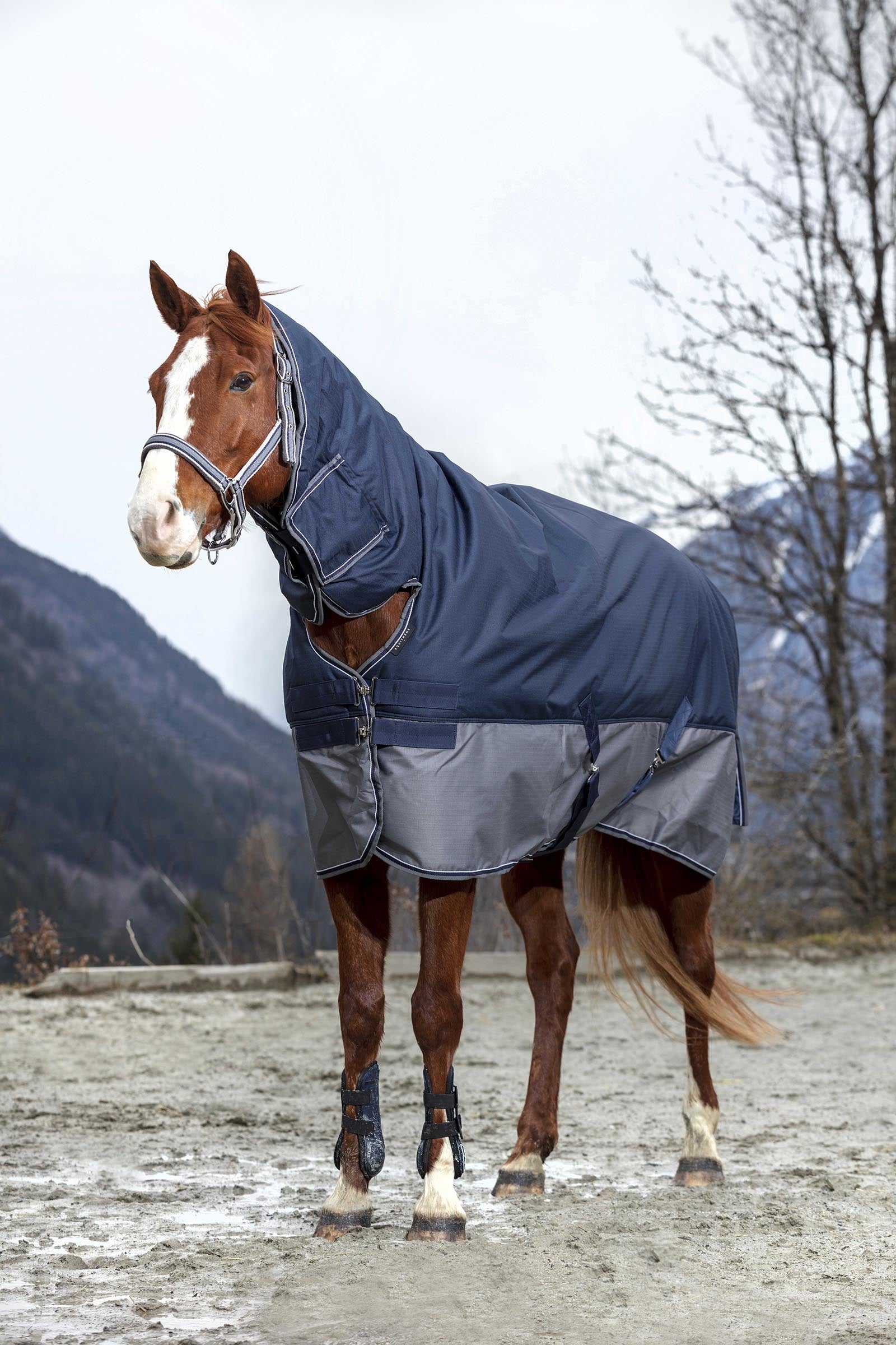 Equi Theme EQUITHÈME TYREX 600D Combo Rug, 200 g Horse Rugs