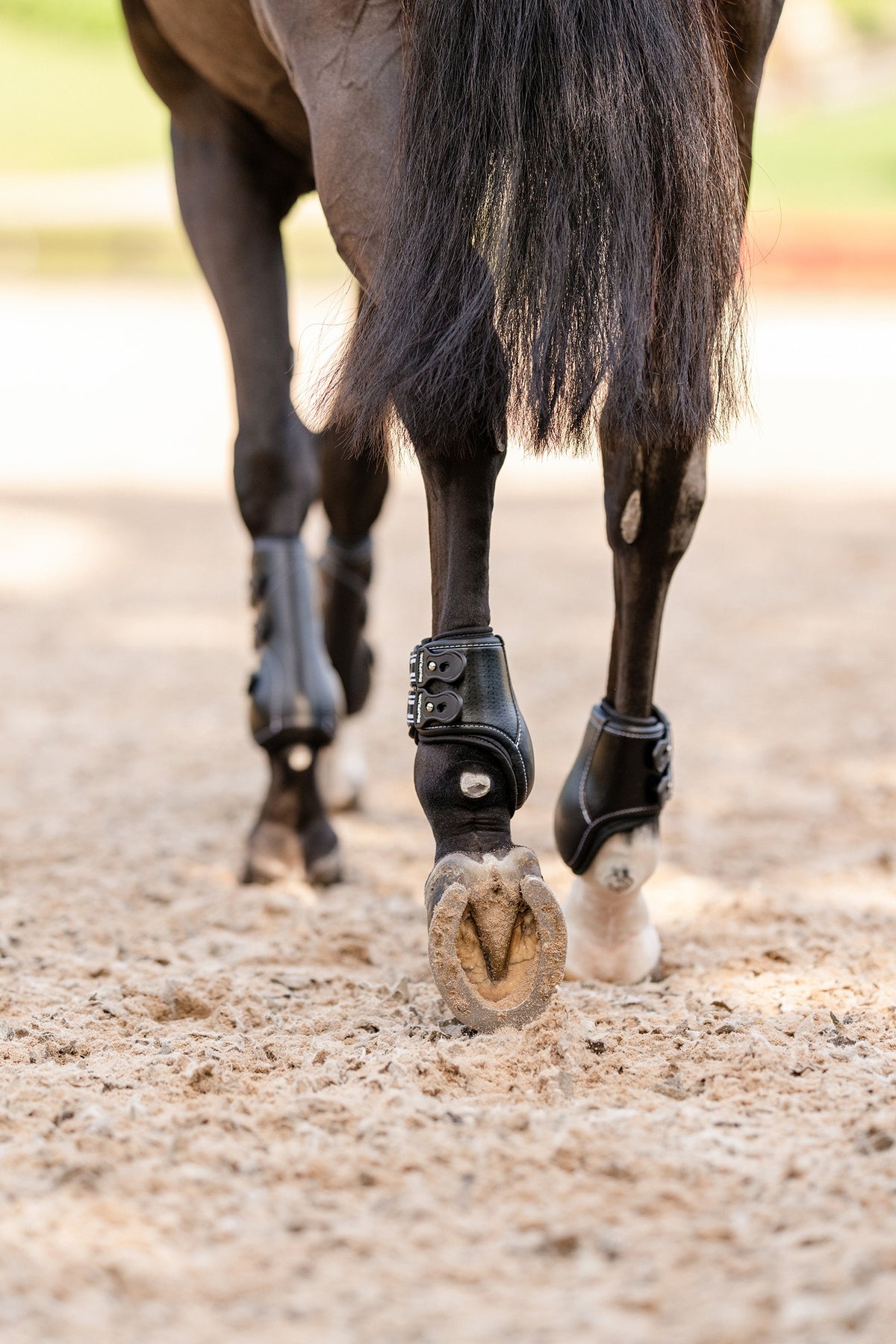 EquiFit D-Teq™ Hind Boot - ImpacTeq® Liner (Pair) Leg & Hoof Protection