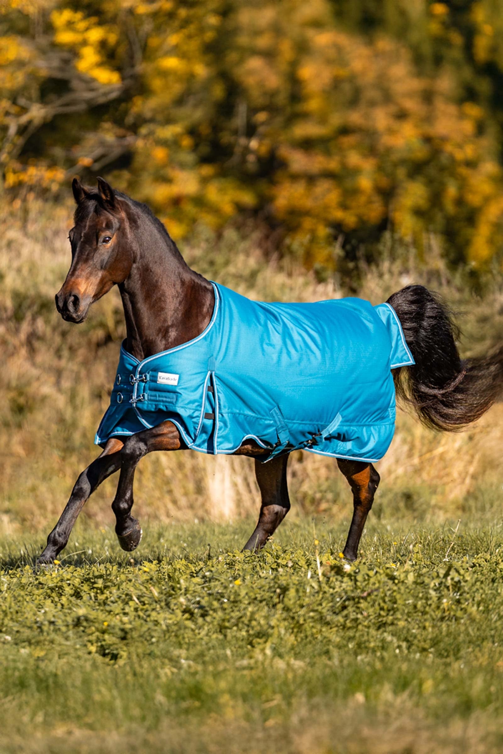 Kavalkade Alaska IV Turnout Rug, 300 g Horse Rugs