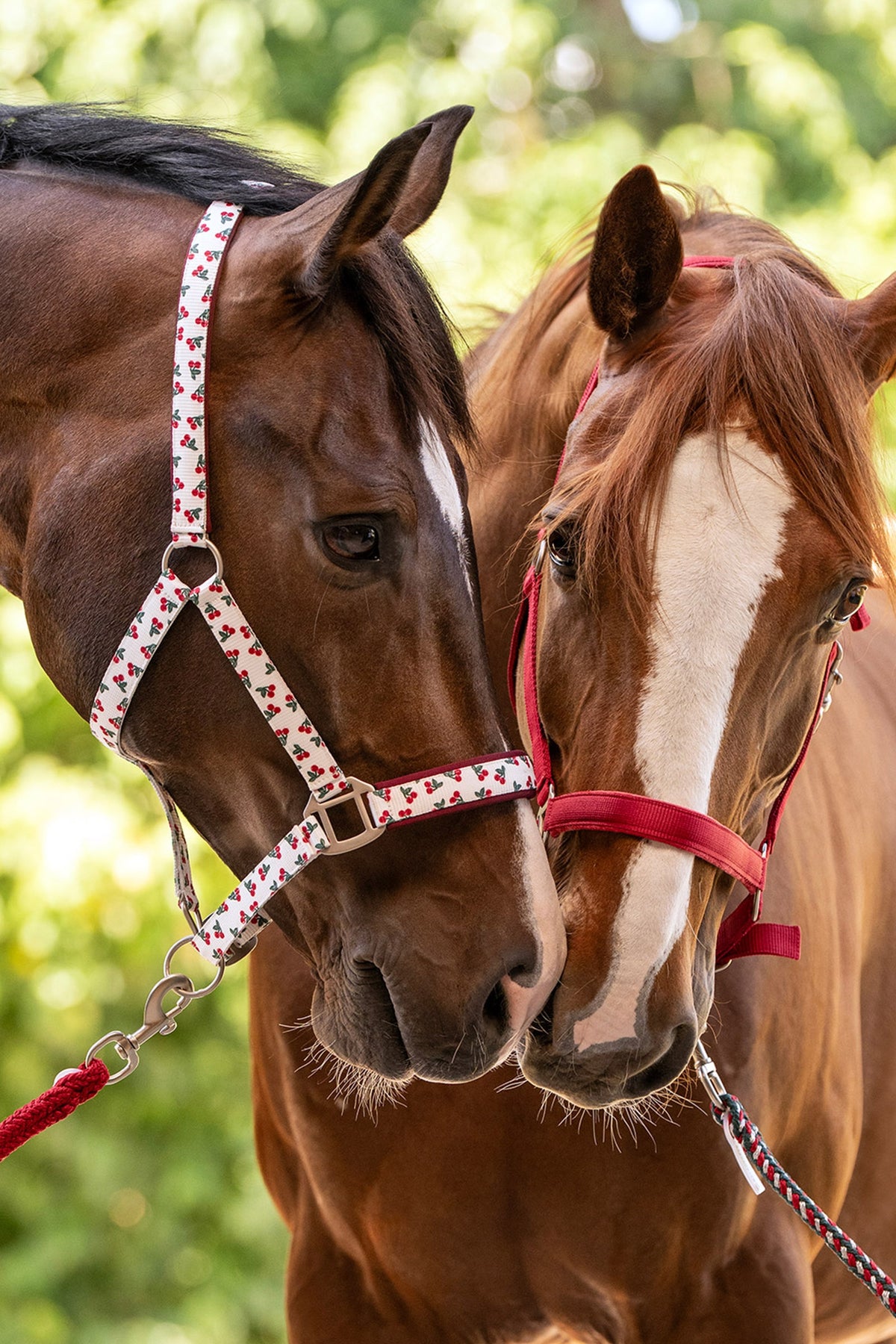 Waldhausen Perlon Satin Halter Halters & Leads