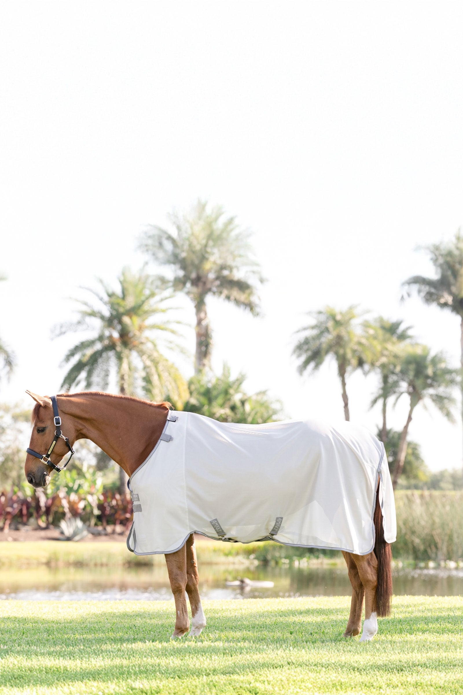 Horseware Amigo Fliegendecke mit UV-Schutz Pferdedecken