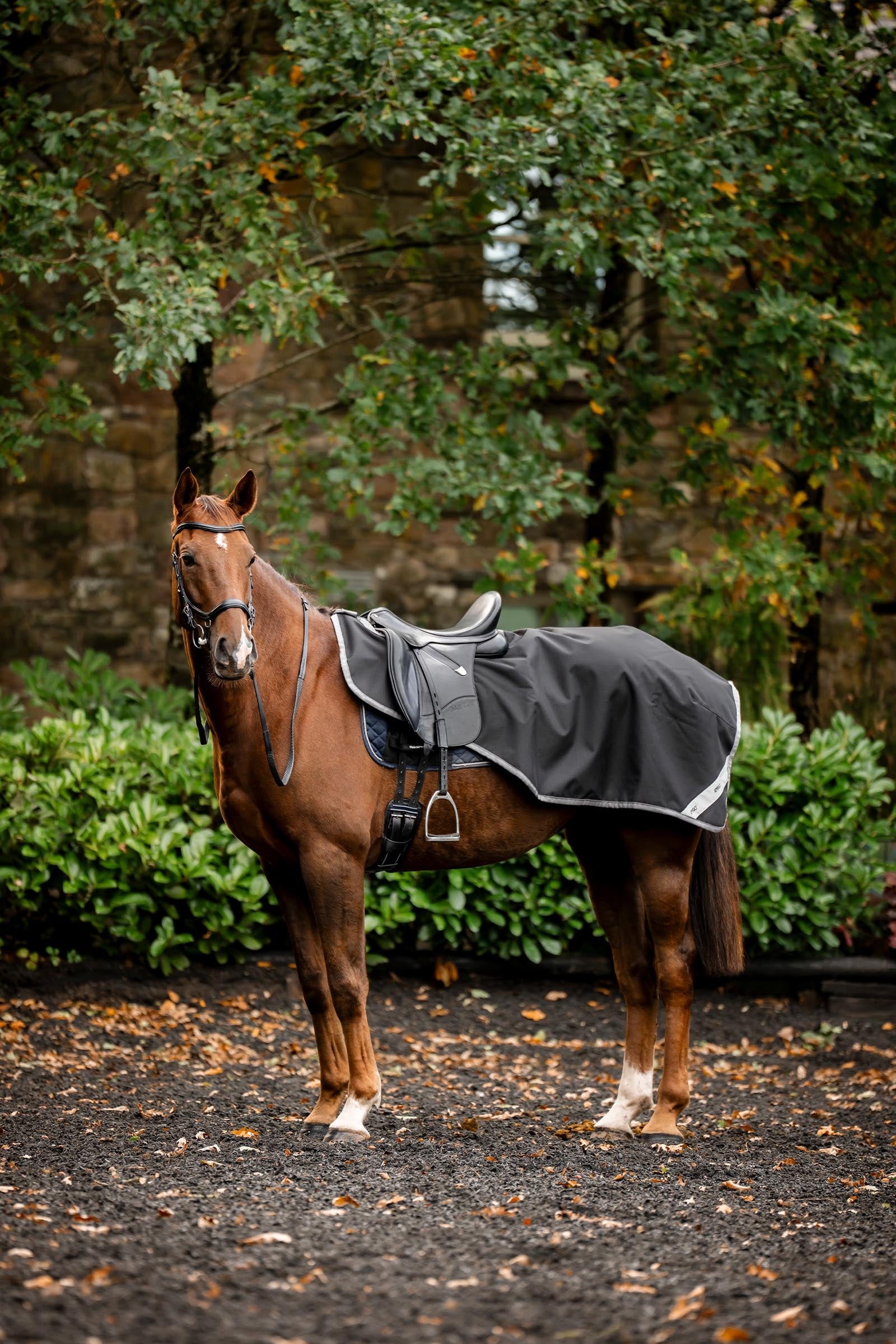 Horseware Amigo Ripstop Exercise Sheet Horse Rugs