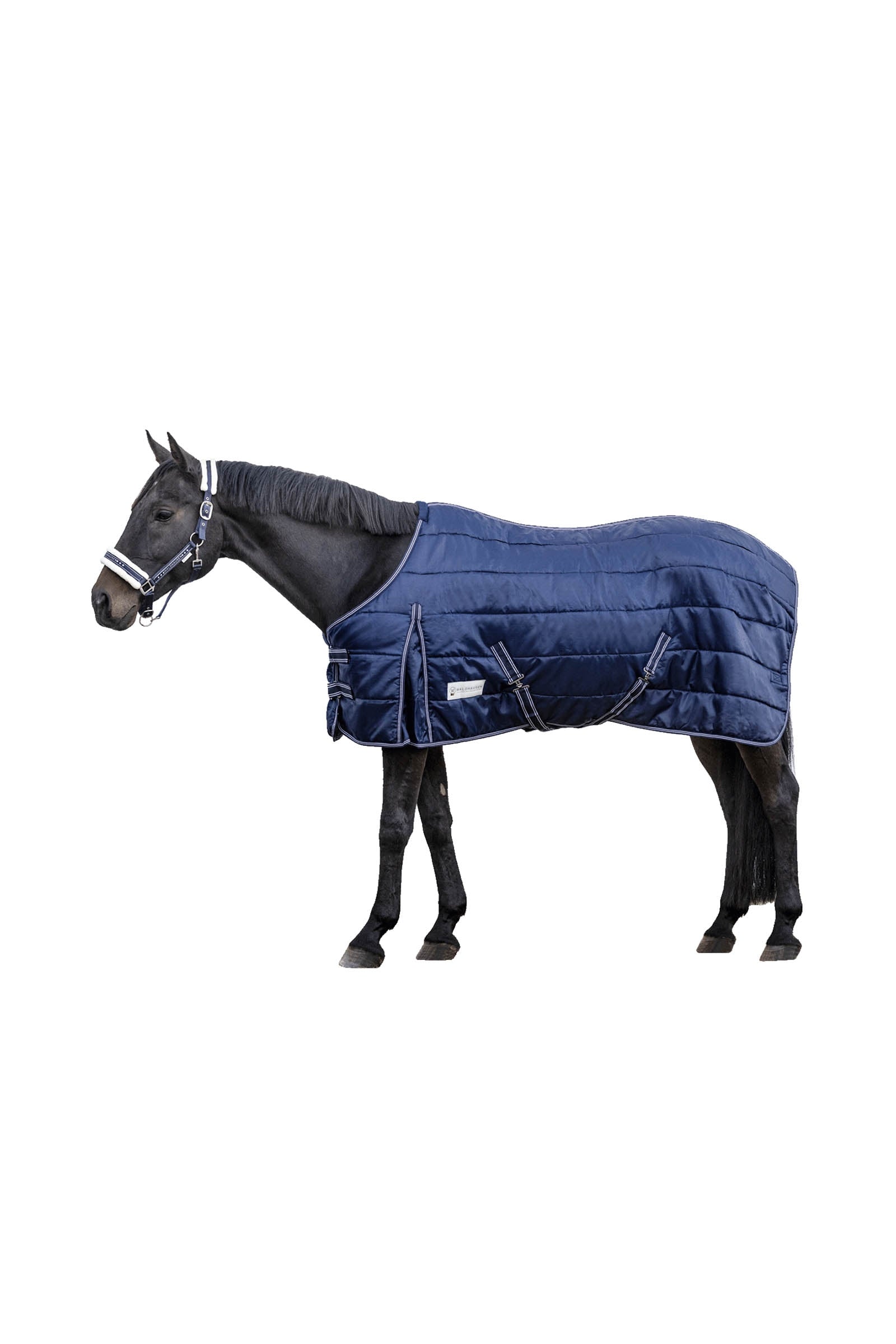 Waldhausen Stable Rug Economic 300 g Pferdedecken