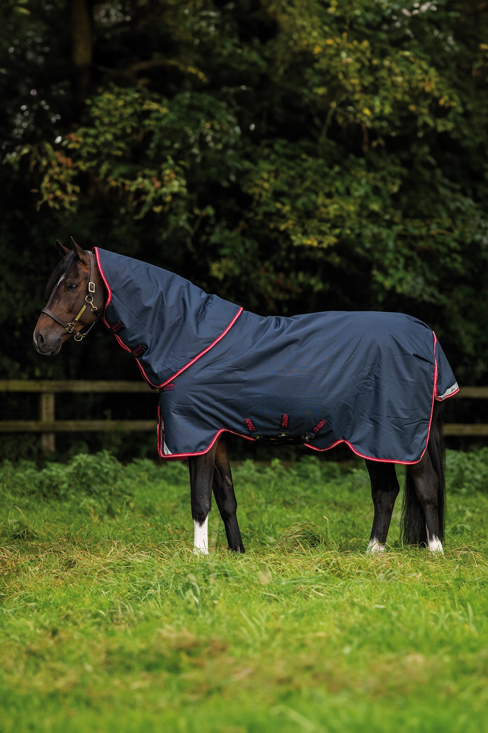 Horseware Amigo Bravo 12 Plus Weidedecke, 250 g Pferdedecken