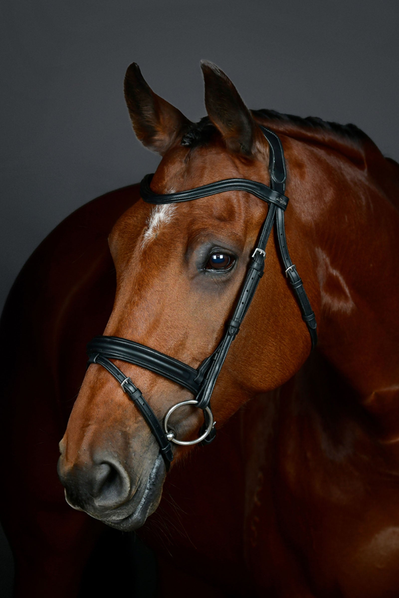 Collegiate Comfitec Opulux schlichte, gepolsterte Trense mit kombiniertem hannoverschem Reithalfter Trensenzäume & Zügel