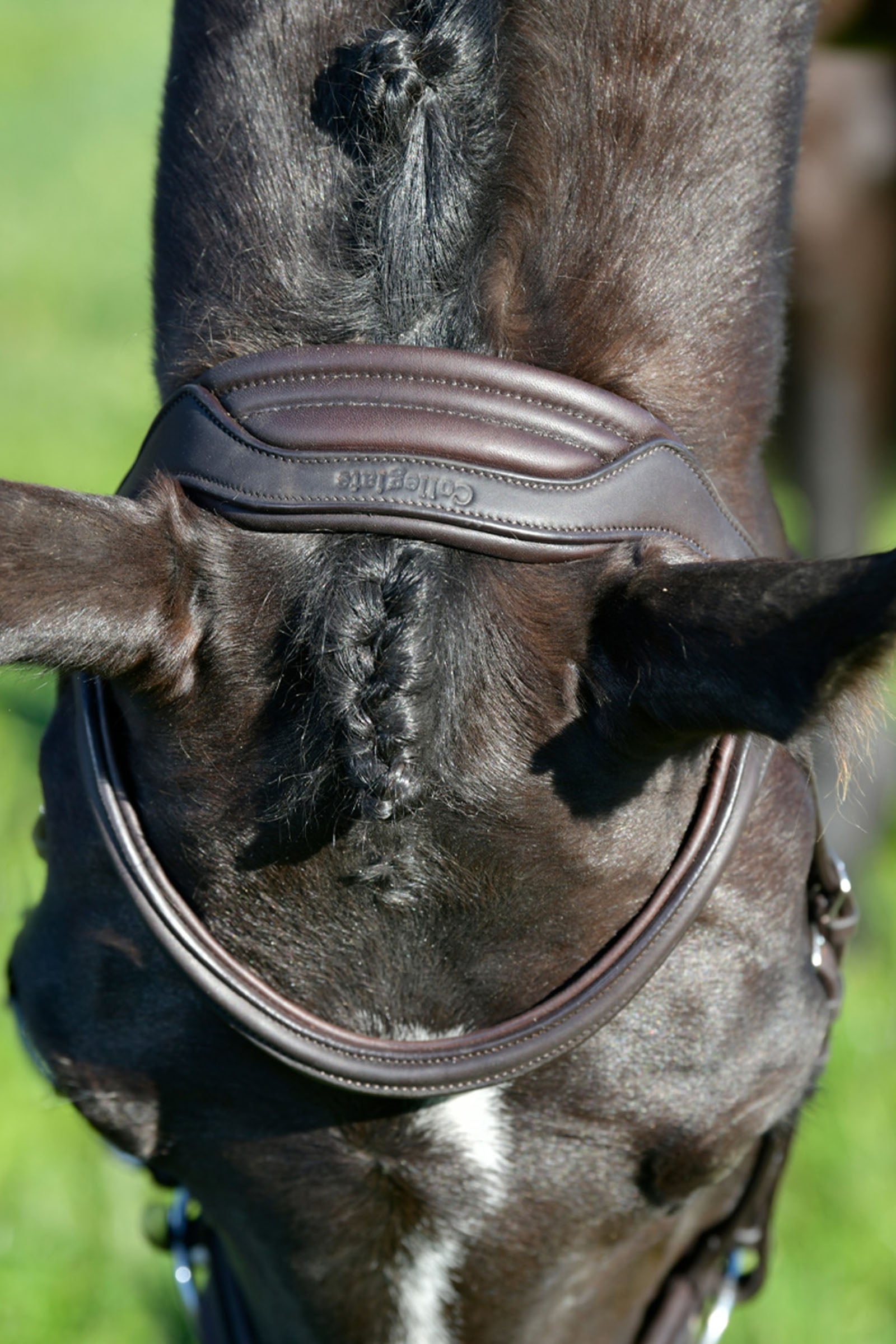 Collegiate Comfitec Opulux Plain Padded Hanoverian Flash Bridle Bridles & Reins