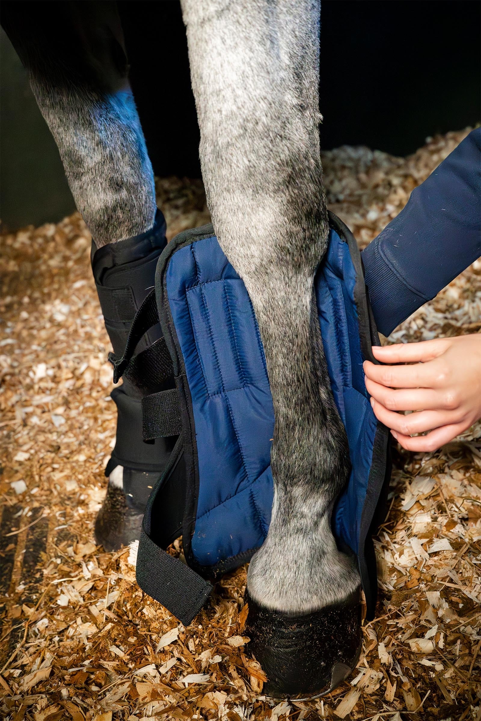 Horseware Stallboot Ionic Liner Leg Protection & Hoof Protection for Horses
