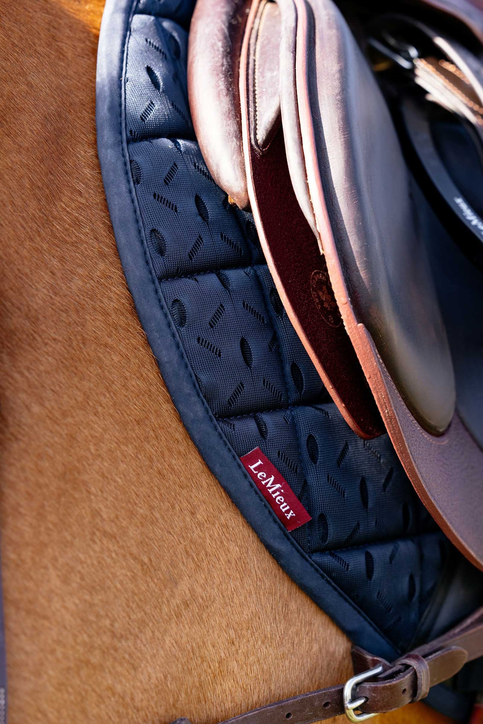 LeMieux 3D Mesh Self-Cool Eurojump Saddle Pad Saddle Pads