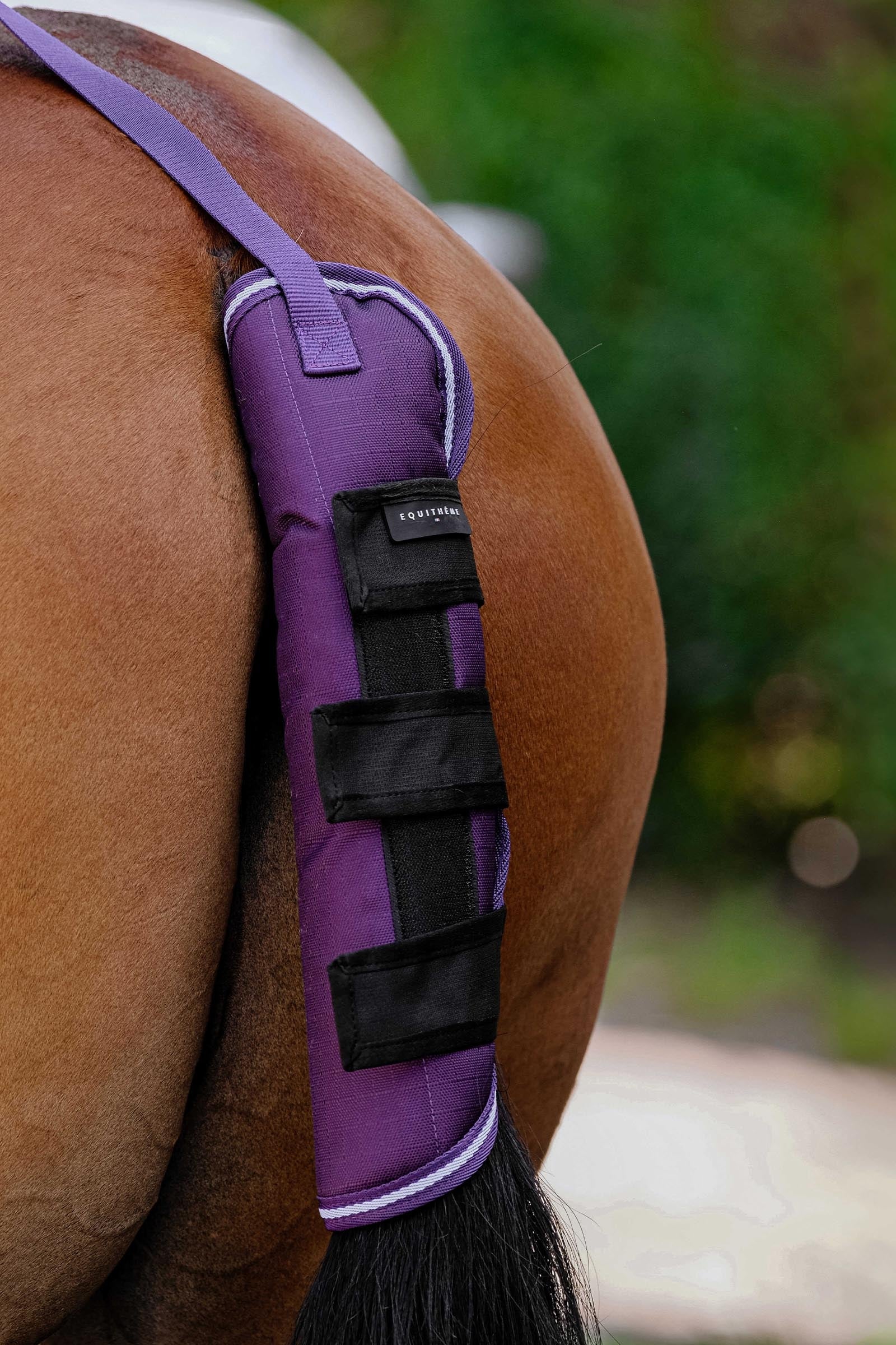 Equi Theme EQUITHÈME TYREX 600D Schweifschoner Plume Leg & Hoof Protection