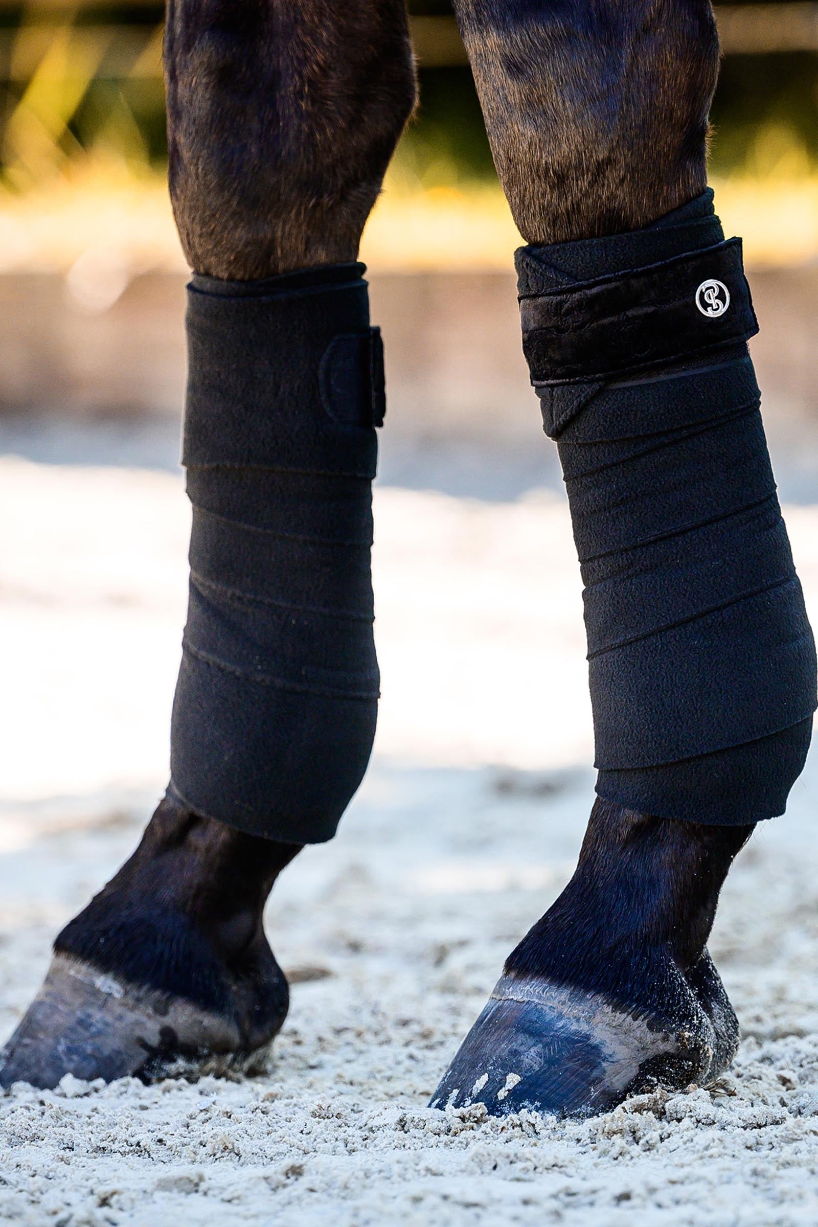PS of Sweden Polos Velvet Monogram Leg Protection & Hoof Protection for Horses