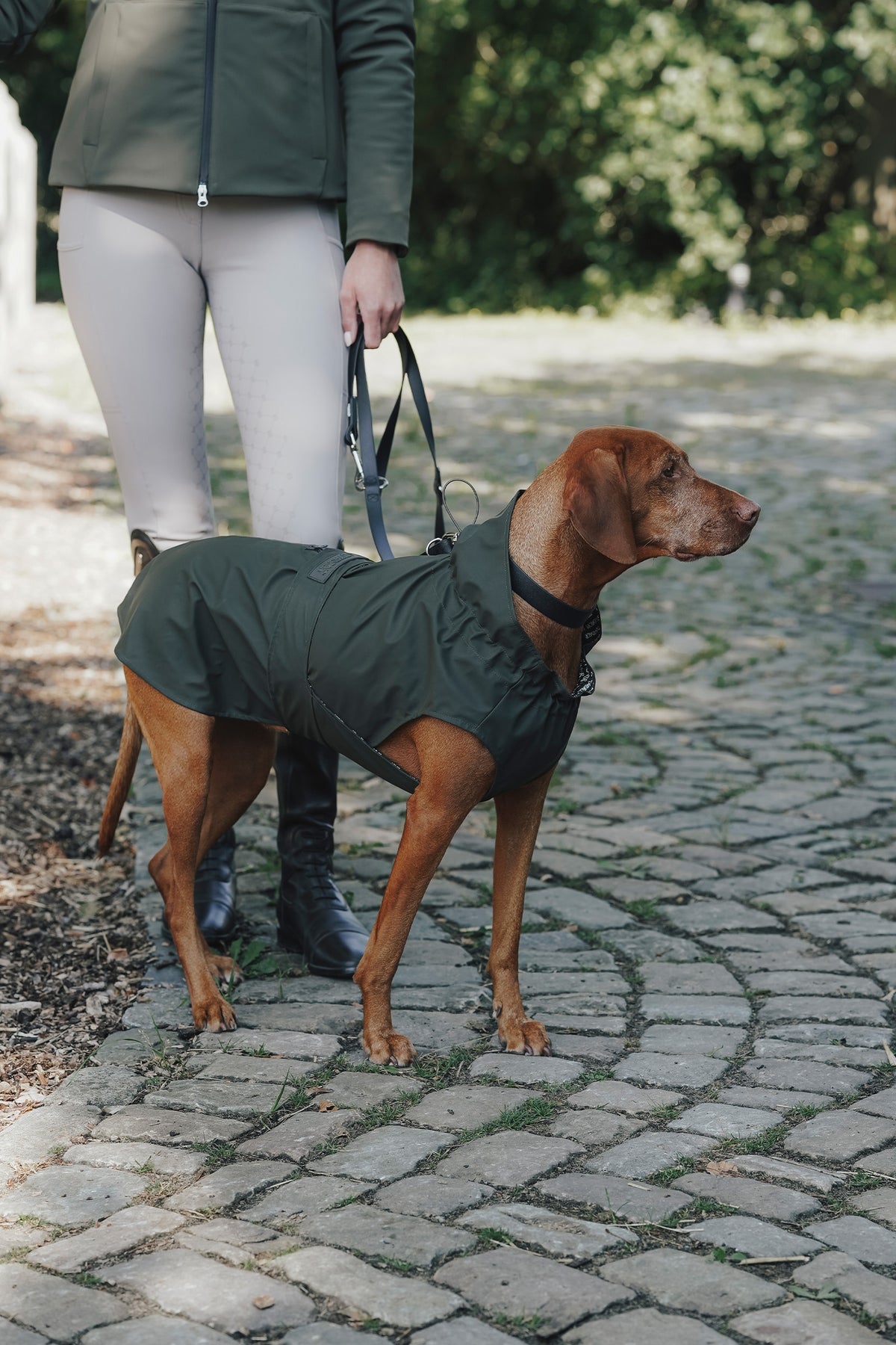 Eskadron Hunter x ESKADRON SPARK ADJUST Dog Leash Dog Accesories