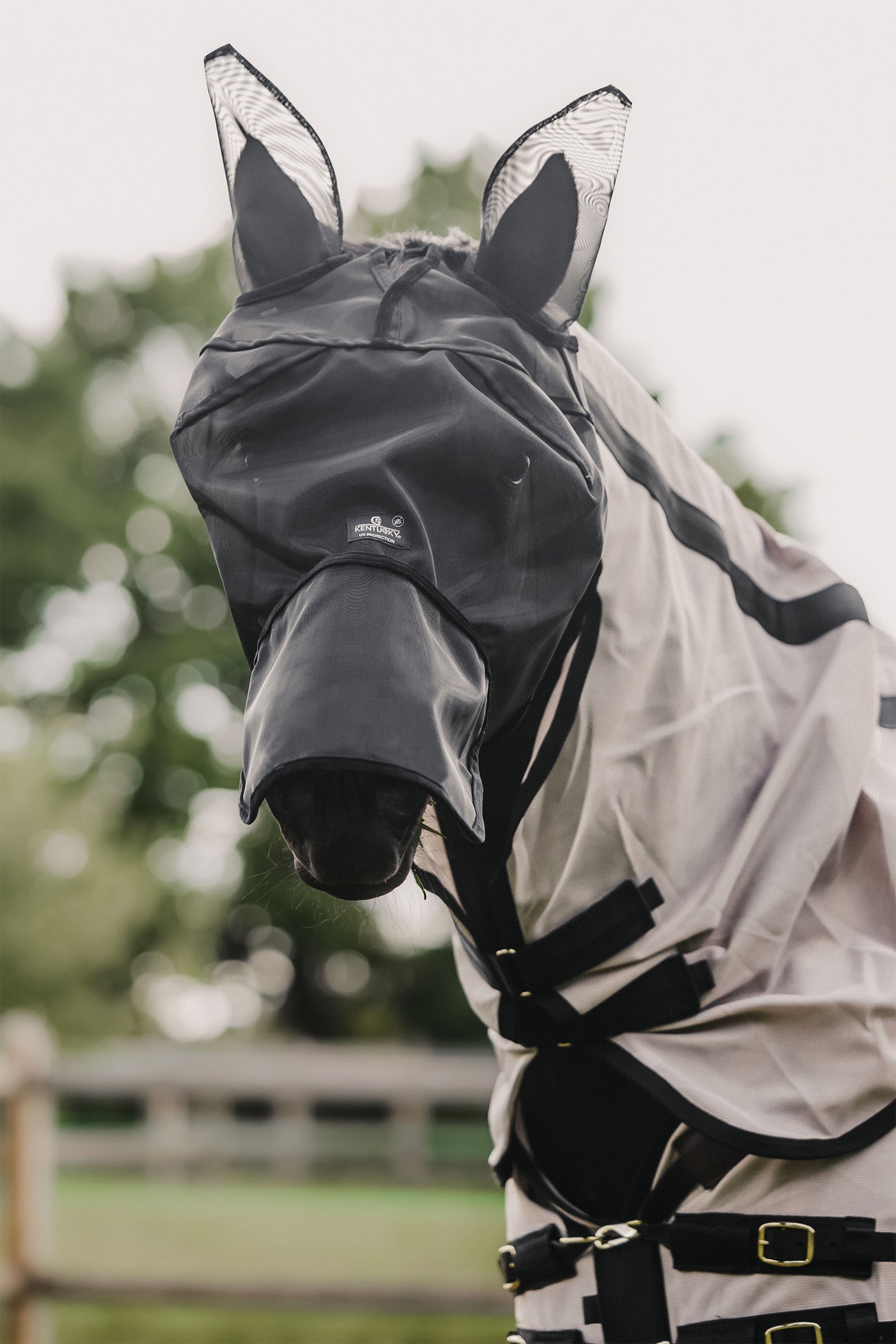Kentucky Horsewear Classic Fliegenmaske mit Nase und Ohren Fliegenschutz