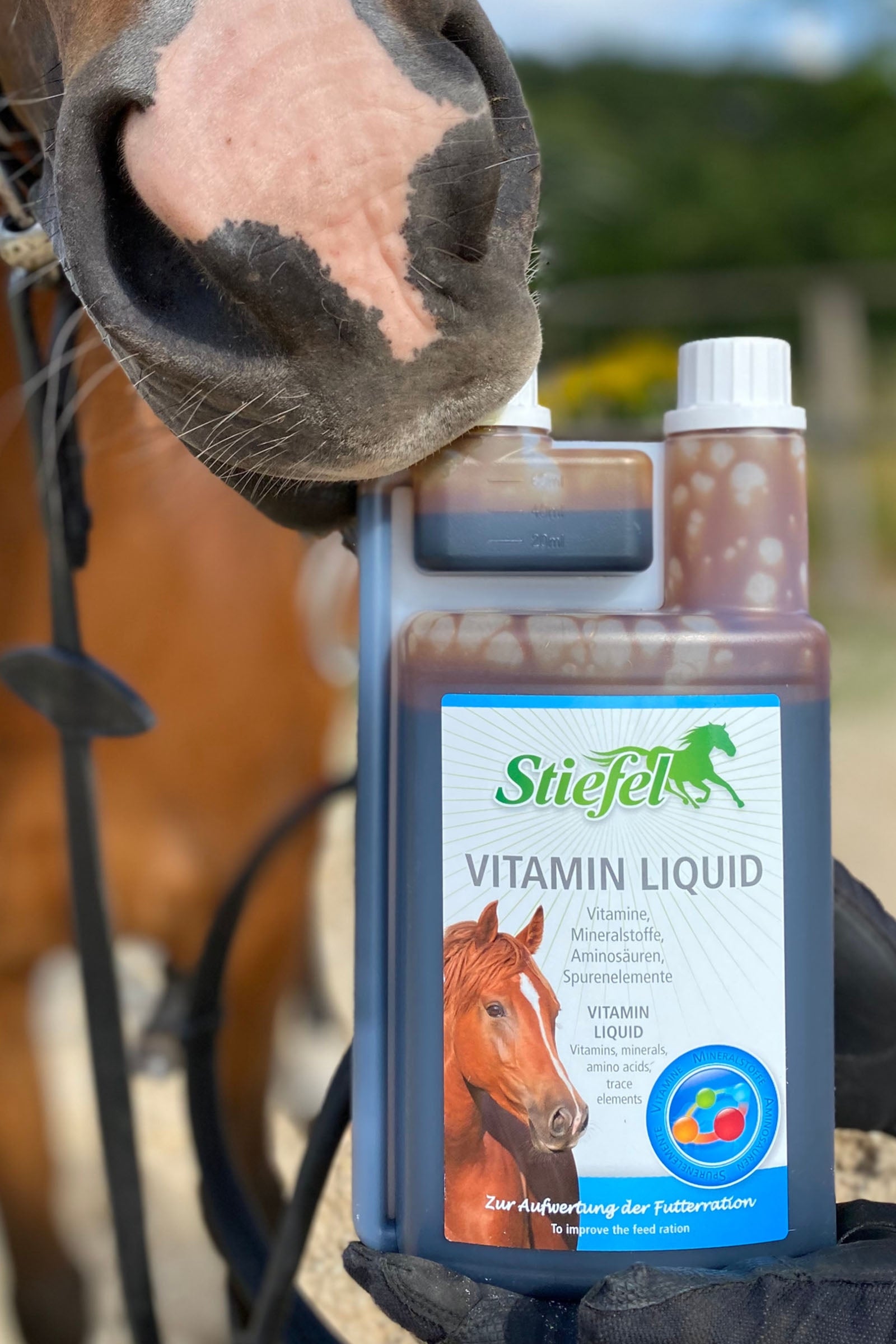 Stiefel Vitamin Liquid Horse Feed & Nutrition