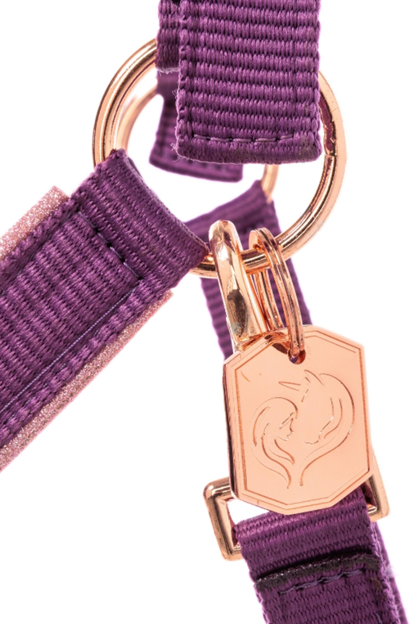 Kavalkade Unicorn Academy Halter With Glitter Halters & Leads