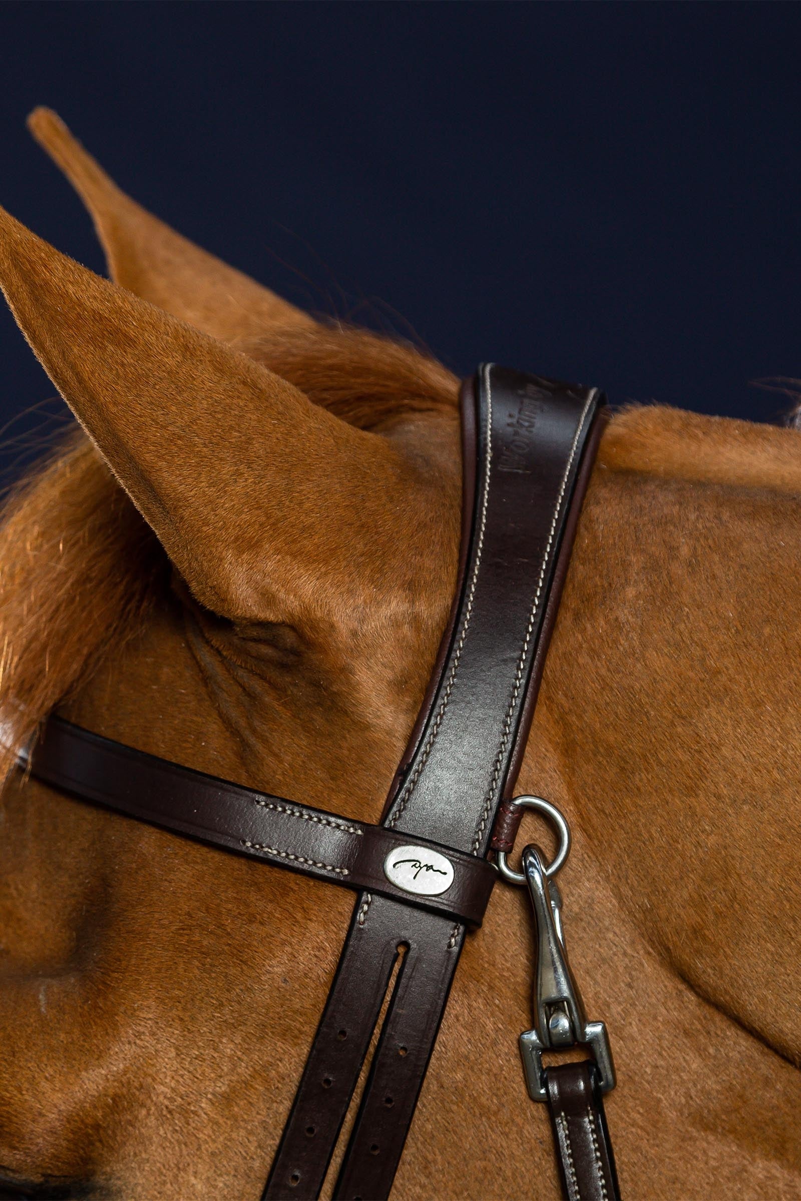 Dy'on Working Flat Leather Bridle With Snap Hooks Bridles & Reins