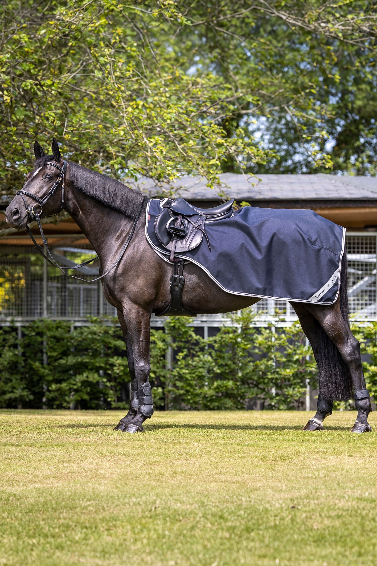 LeMieux Arika Exercise Sheet Horse Rugs