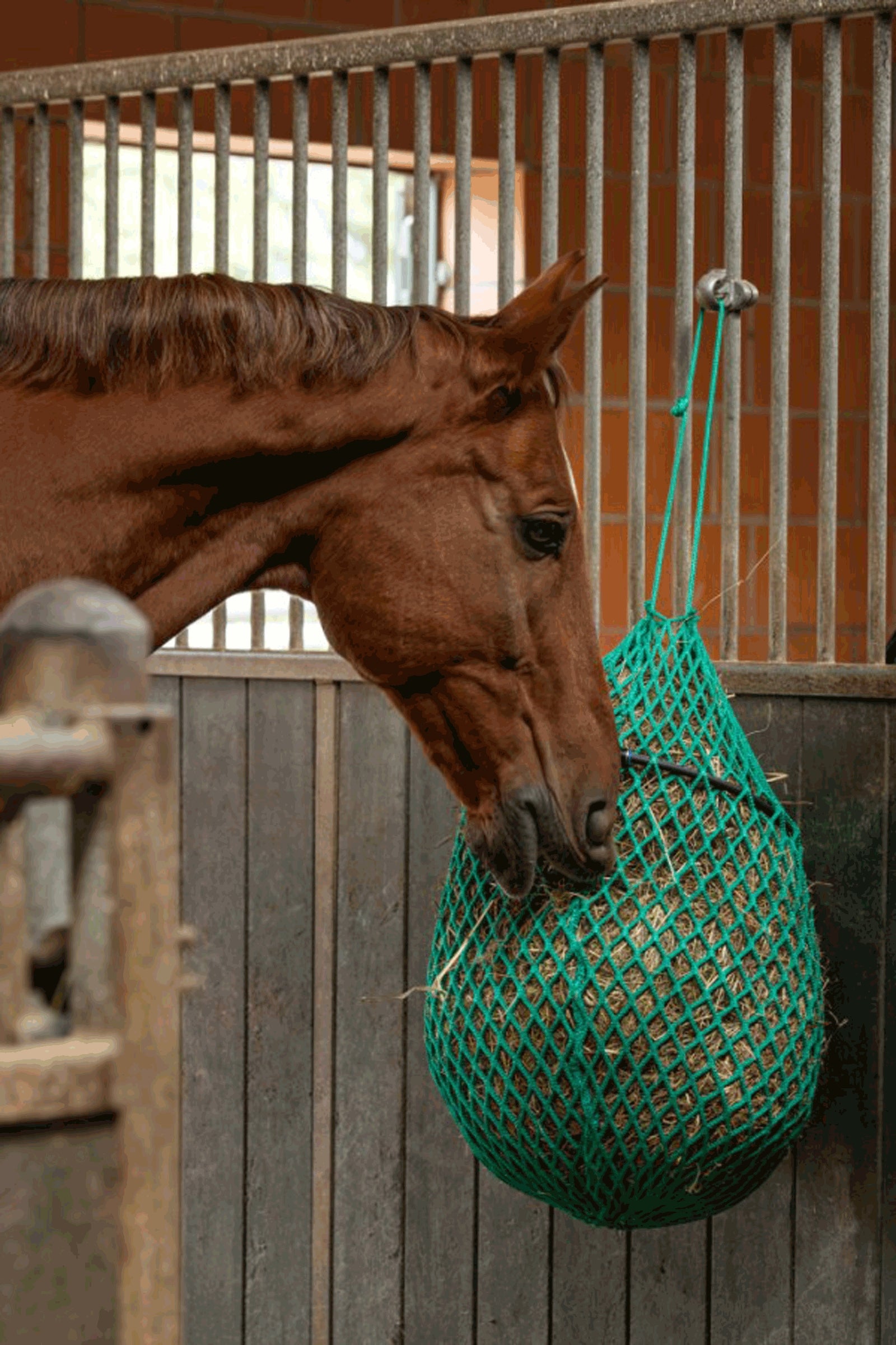 Kerbl Hay Net With Ring, 120 cm Horse Feeders & Waterers