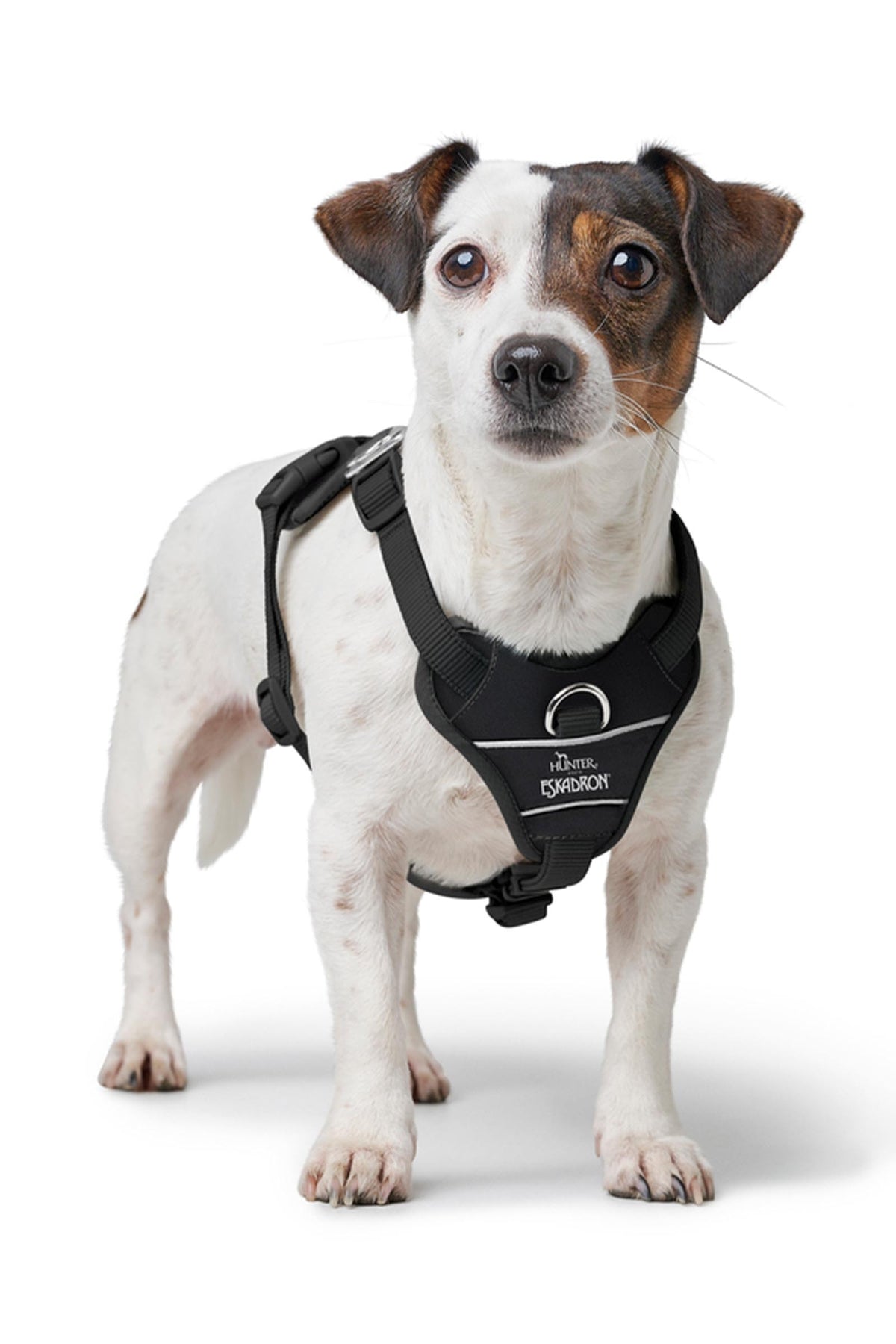 Eskadron MOTION REFLECT Dog Harness Dog Accesories