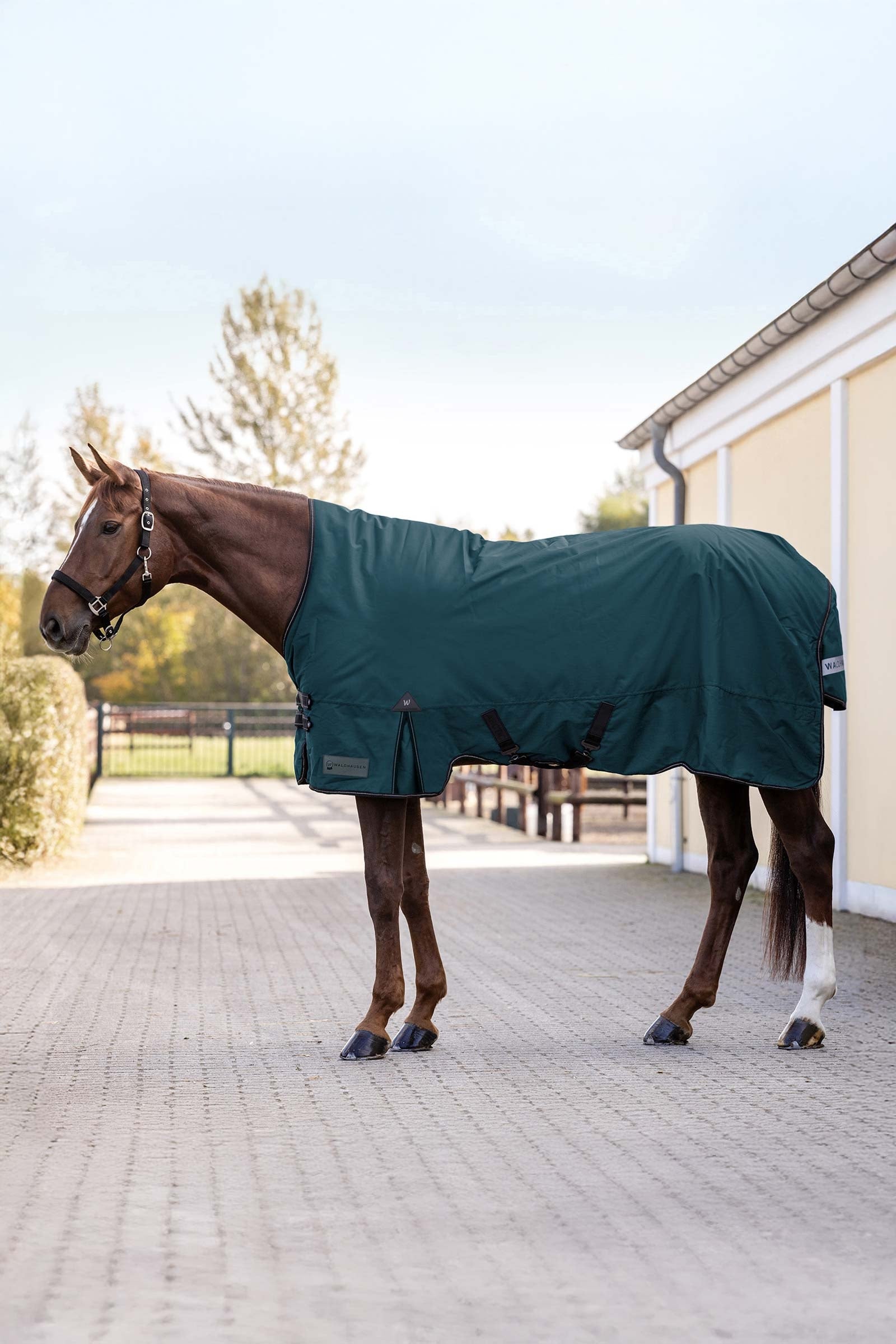 Waldhausen Arctic Outdoor Rug, 100 g Pferdedecken